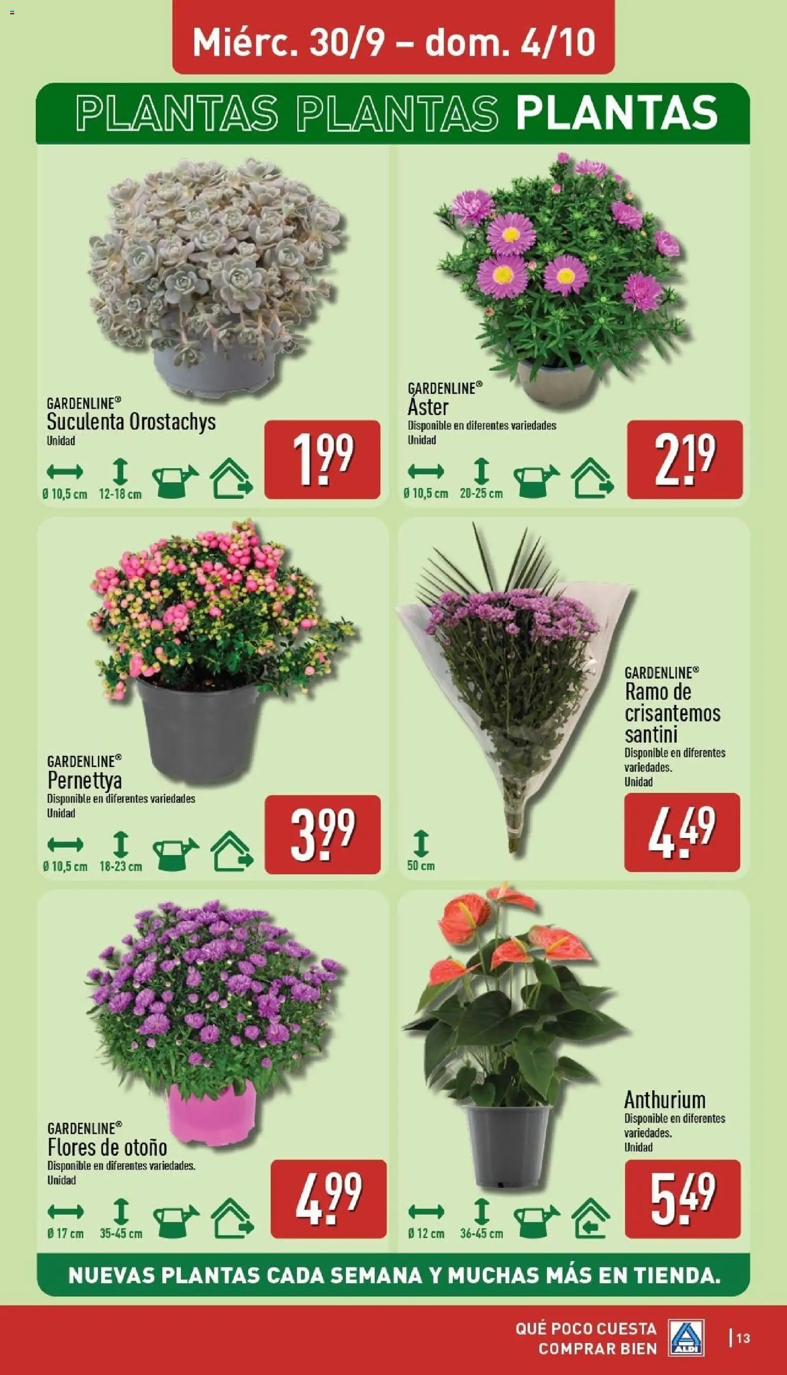 Aldi folleto Baleares