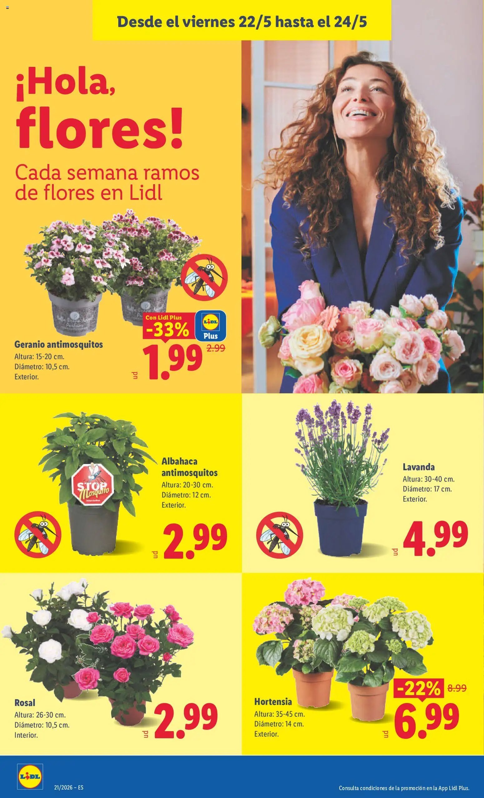 Lidl folleto