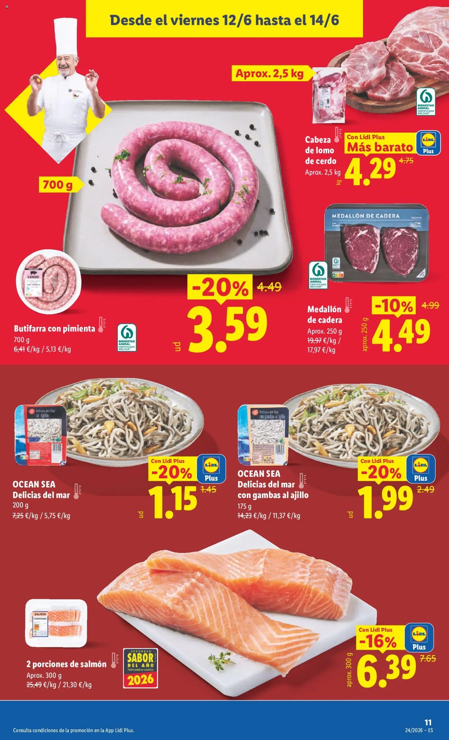 Lidl folleto