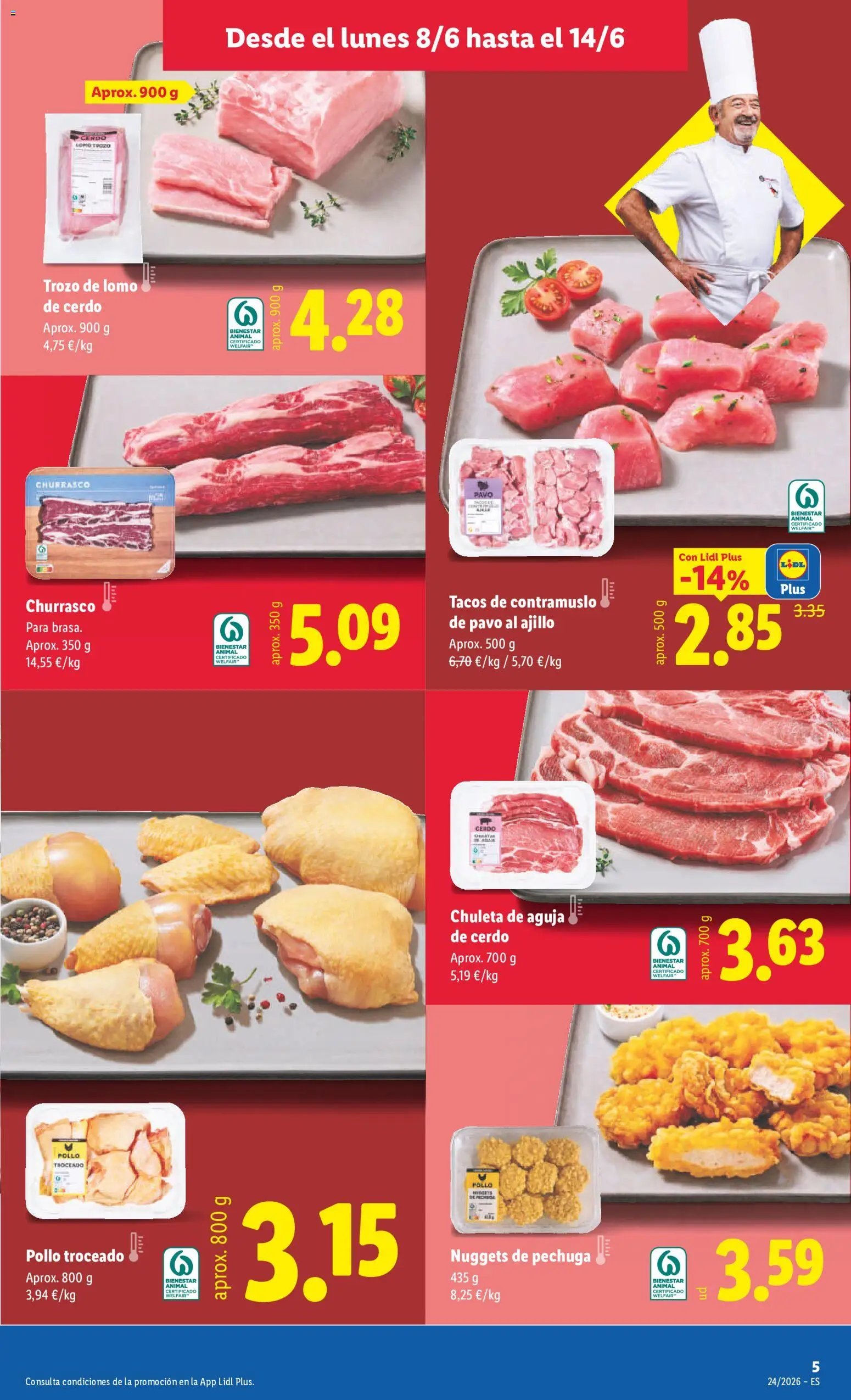 Lidl folleto