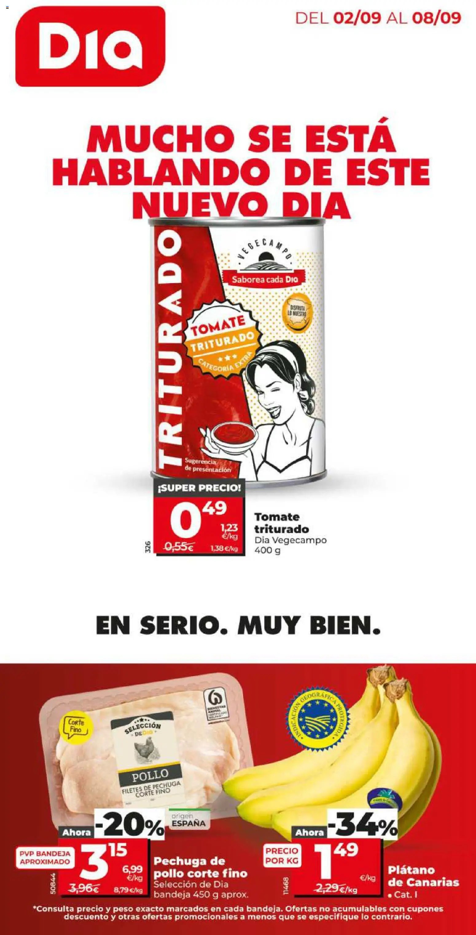 Dia - folleto