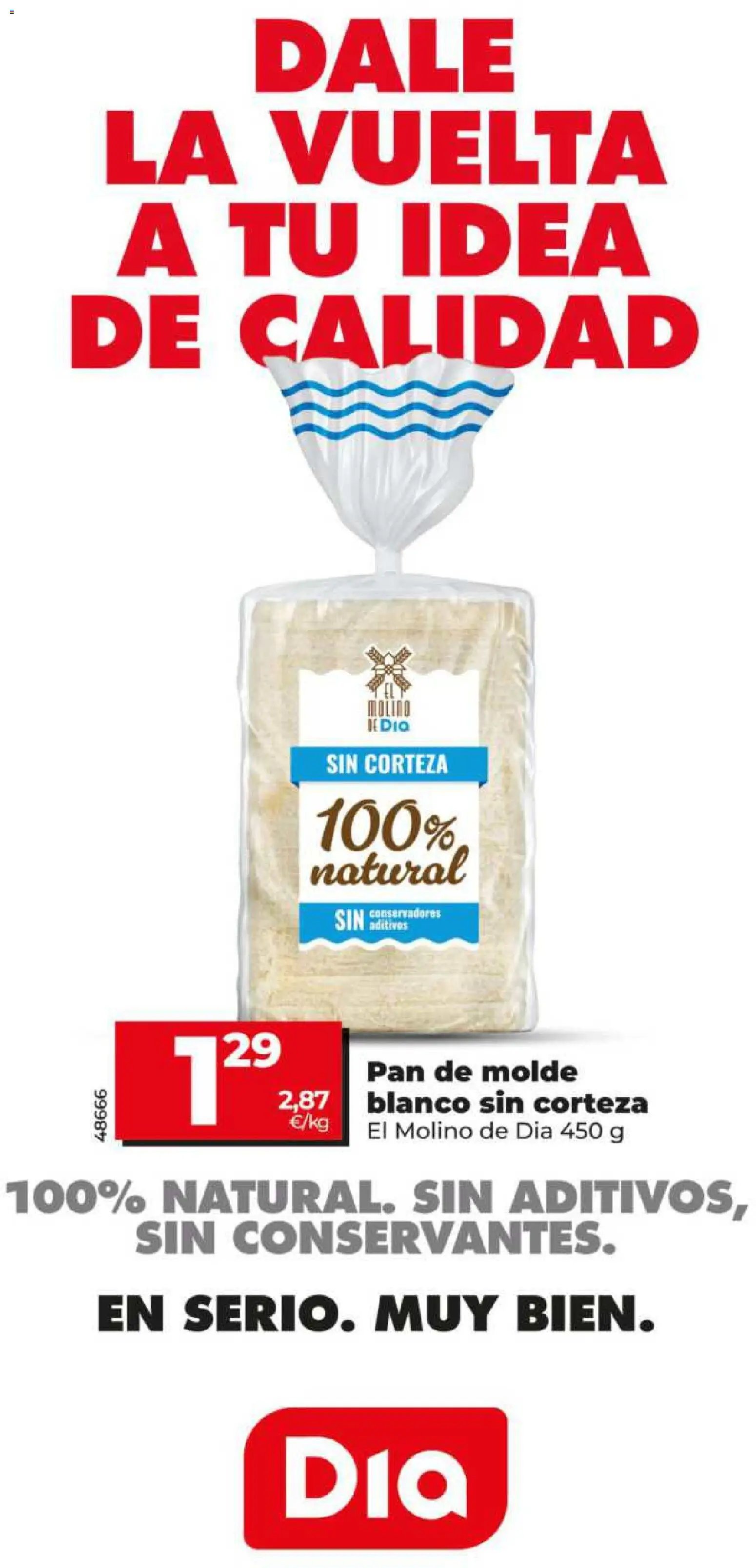 Dia - folleto
