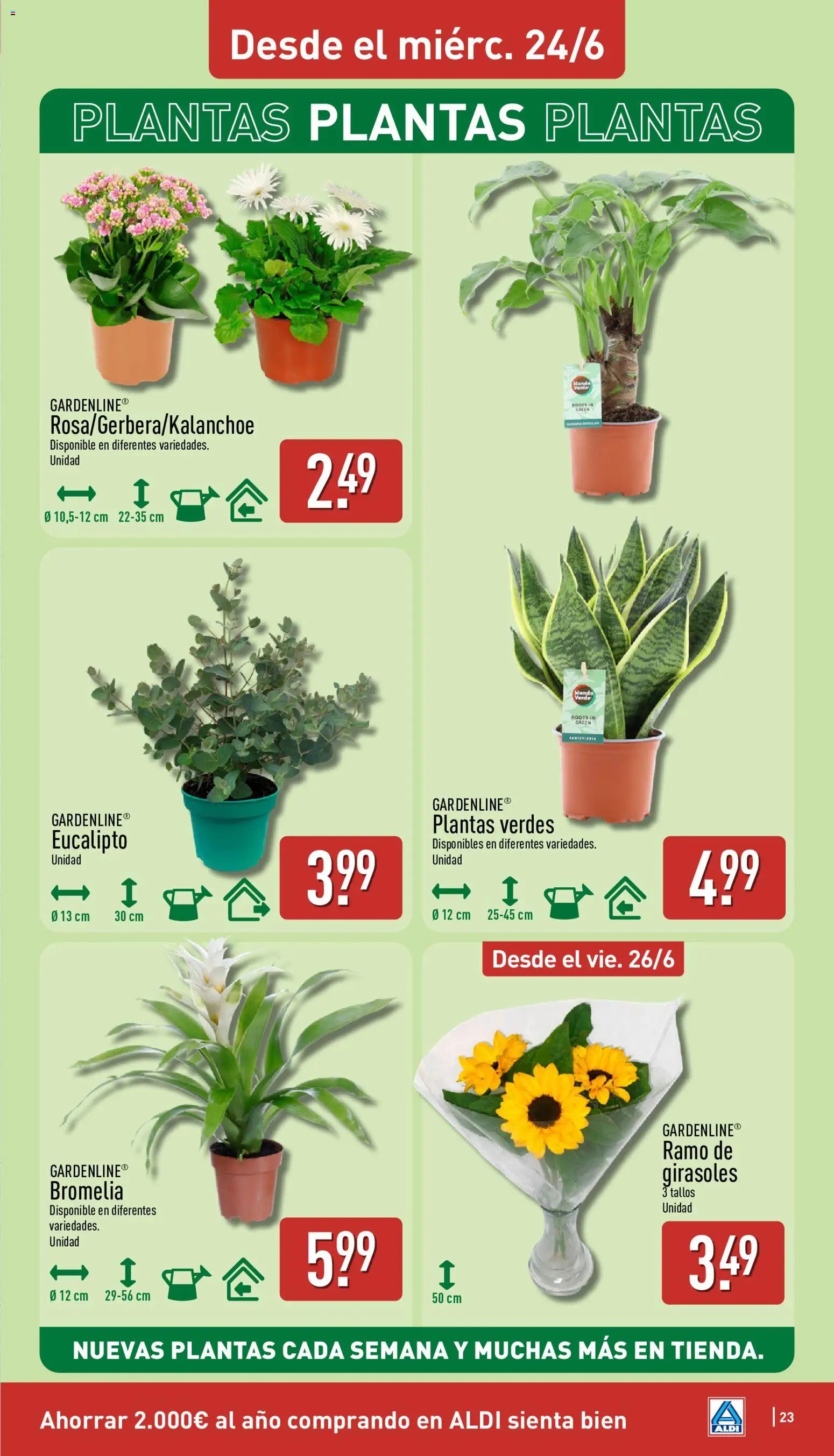 Aldi folleto Península