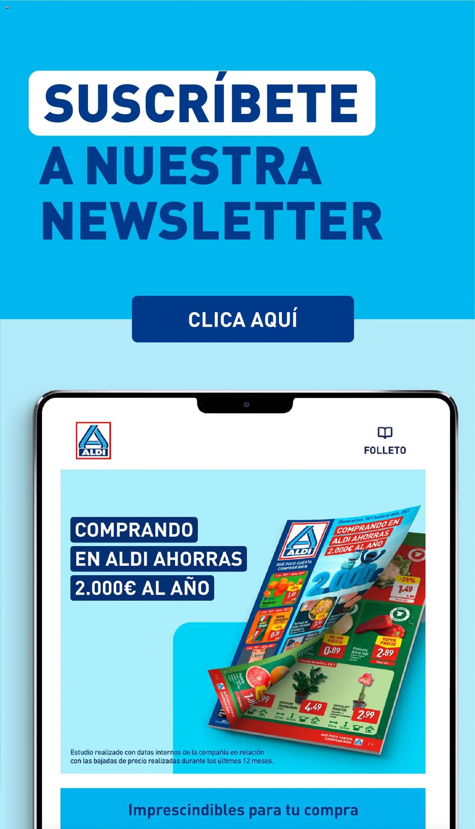 Aldi folleto Península