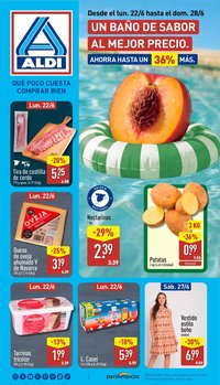 Aldi folleto Península