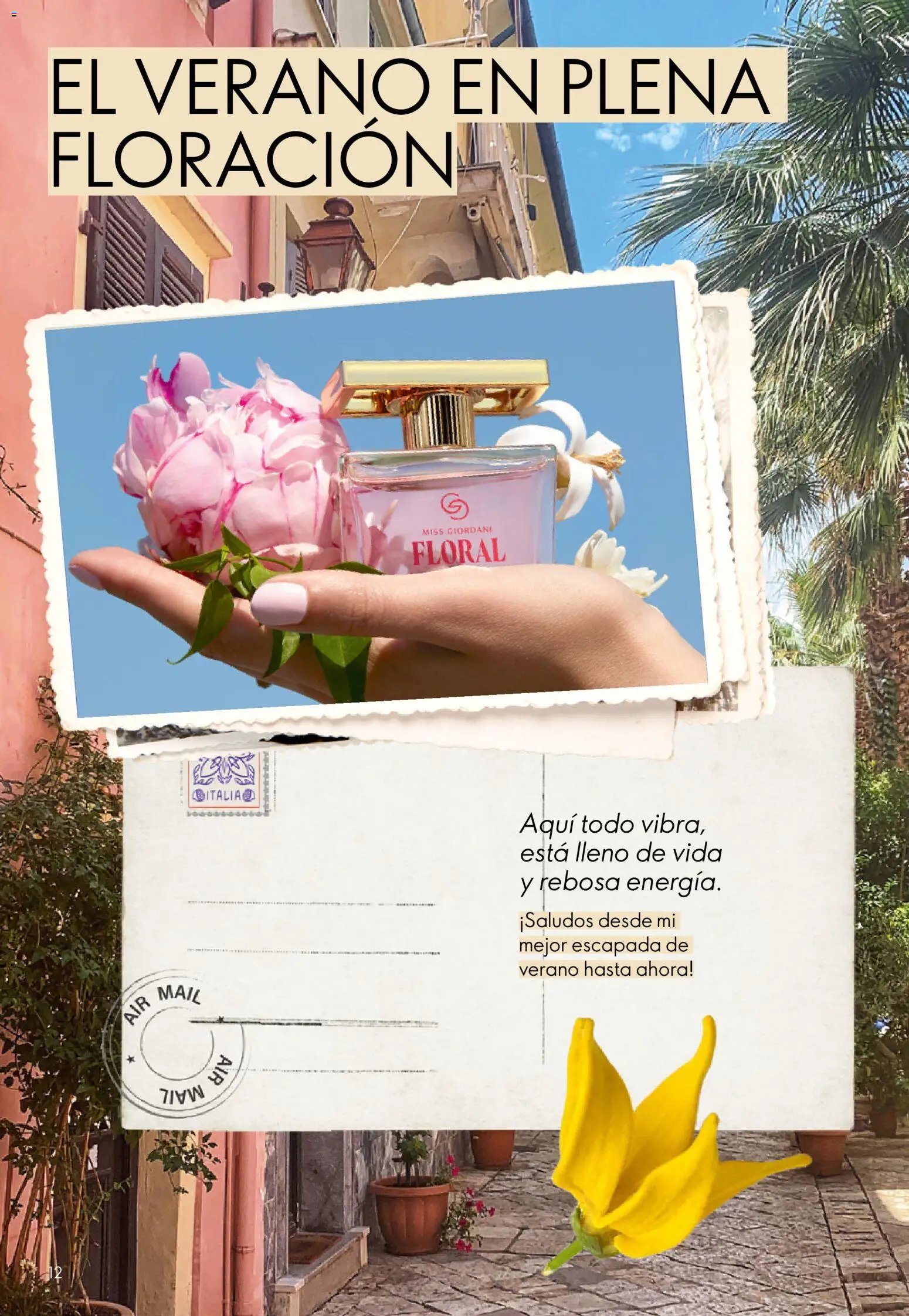 Oriflame - Catálogo Campaña 10