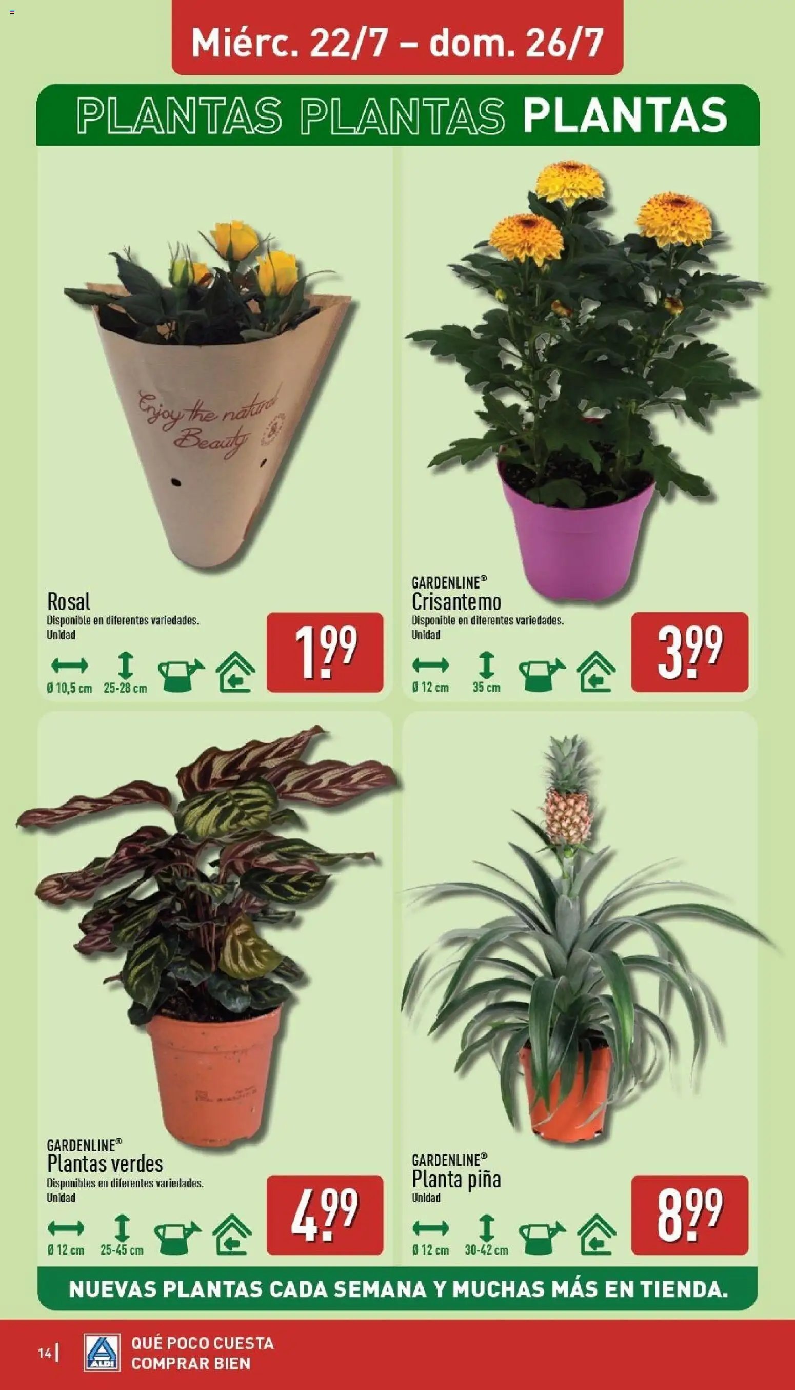 Aldi folleto Península