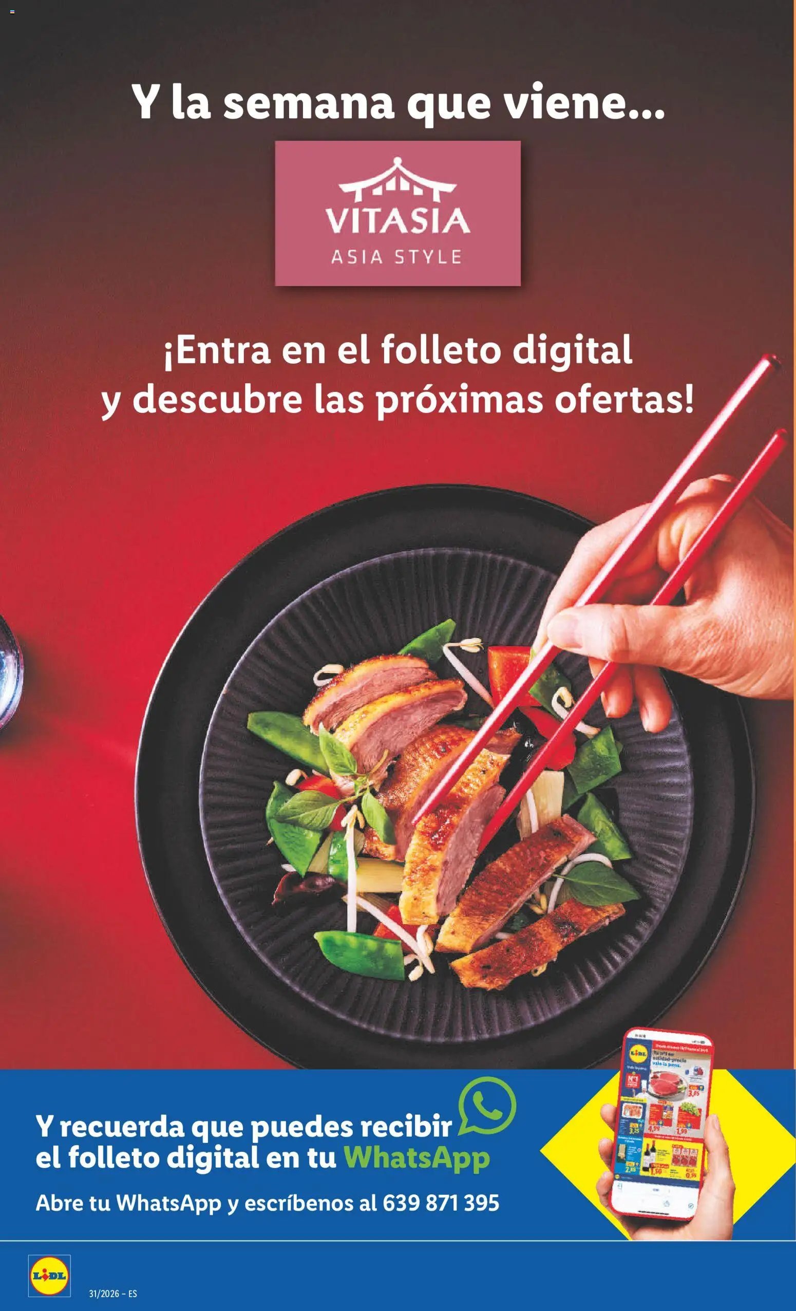Lidl folleto de bazar