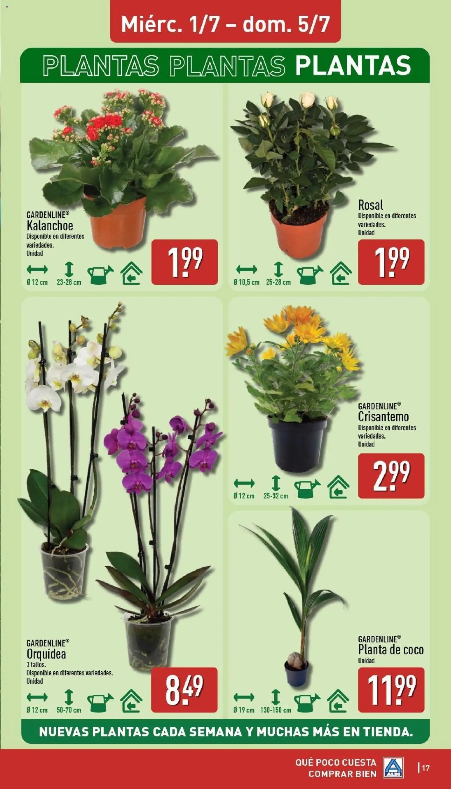 Aldi folleto Península