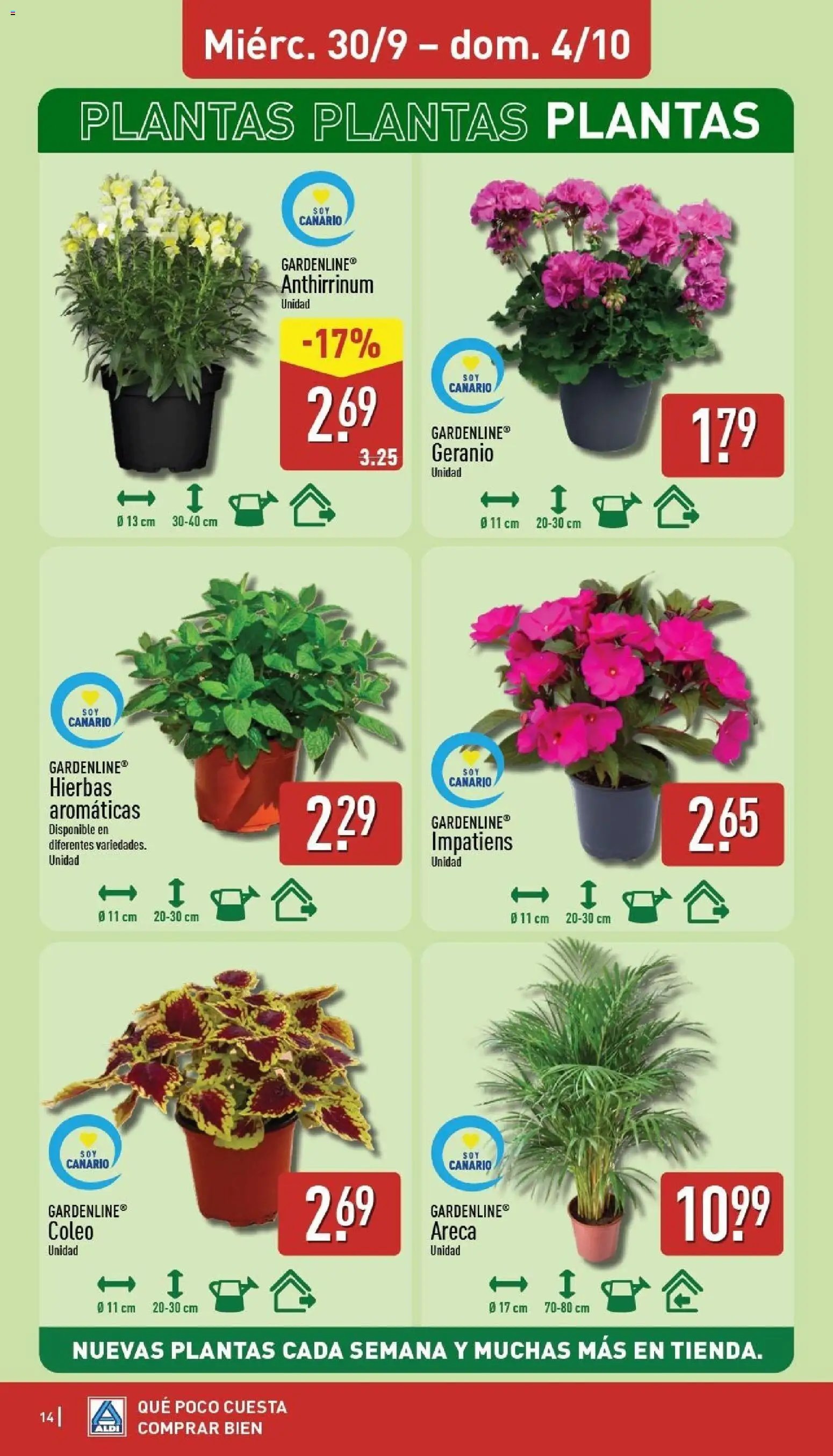 Aldi folleto Canarias