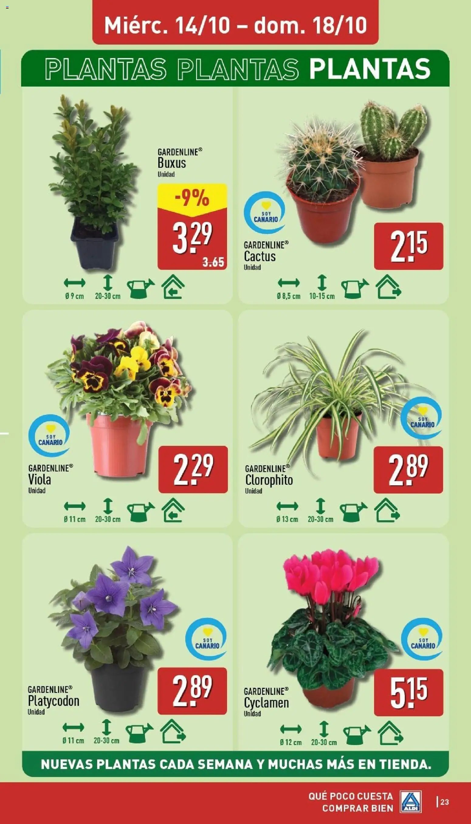 Aldi folleto Canarias