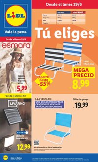 Lidl folleto de bazar