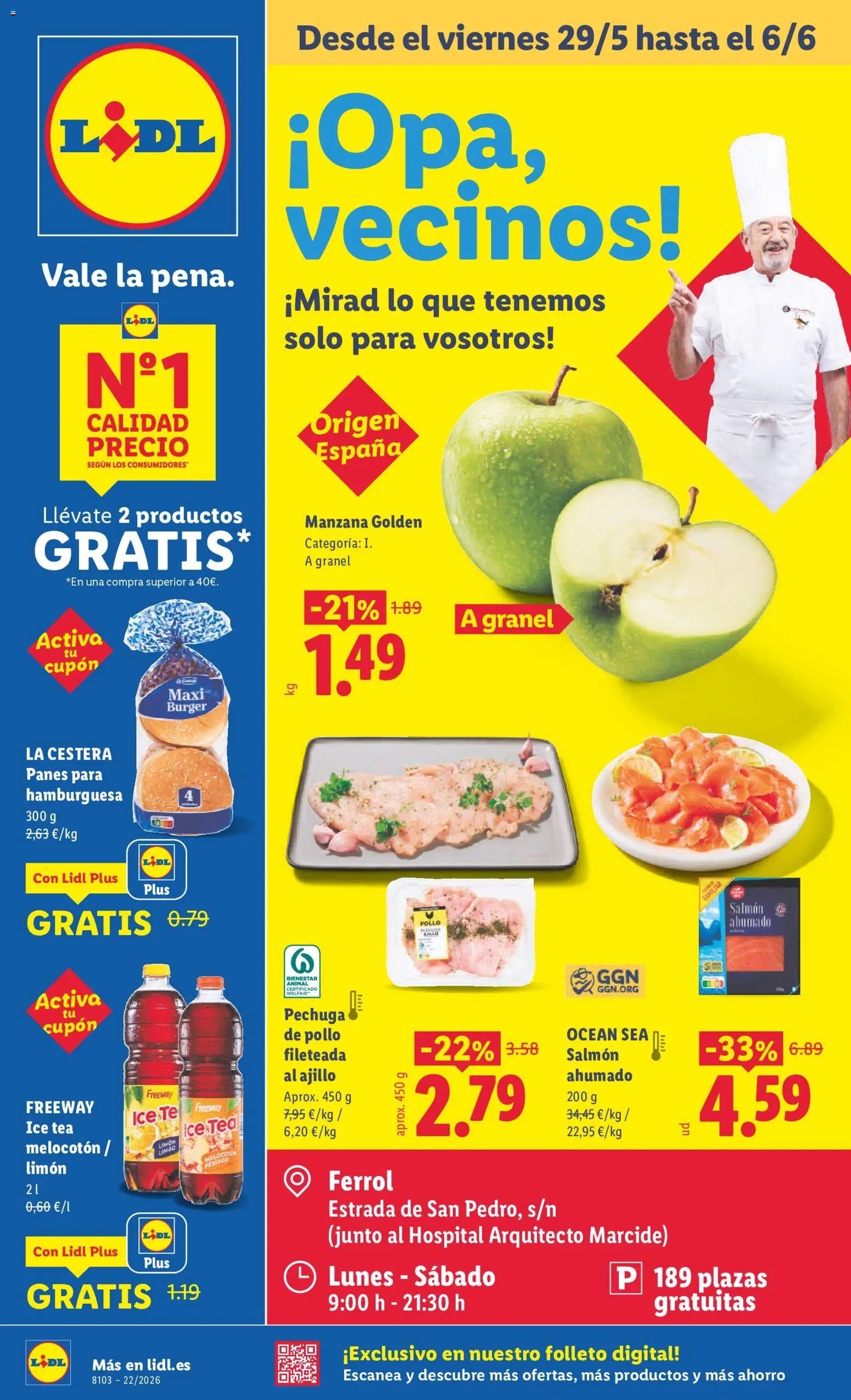 Lidl folleto
