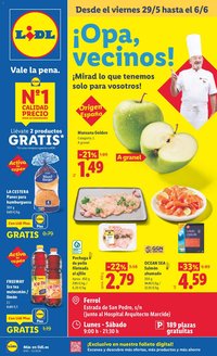 Lidl folleto