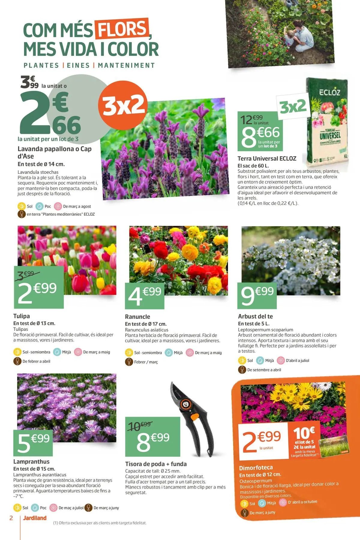 Jardiland - La natura et queda bé.