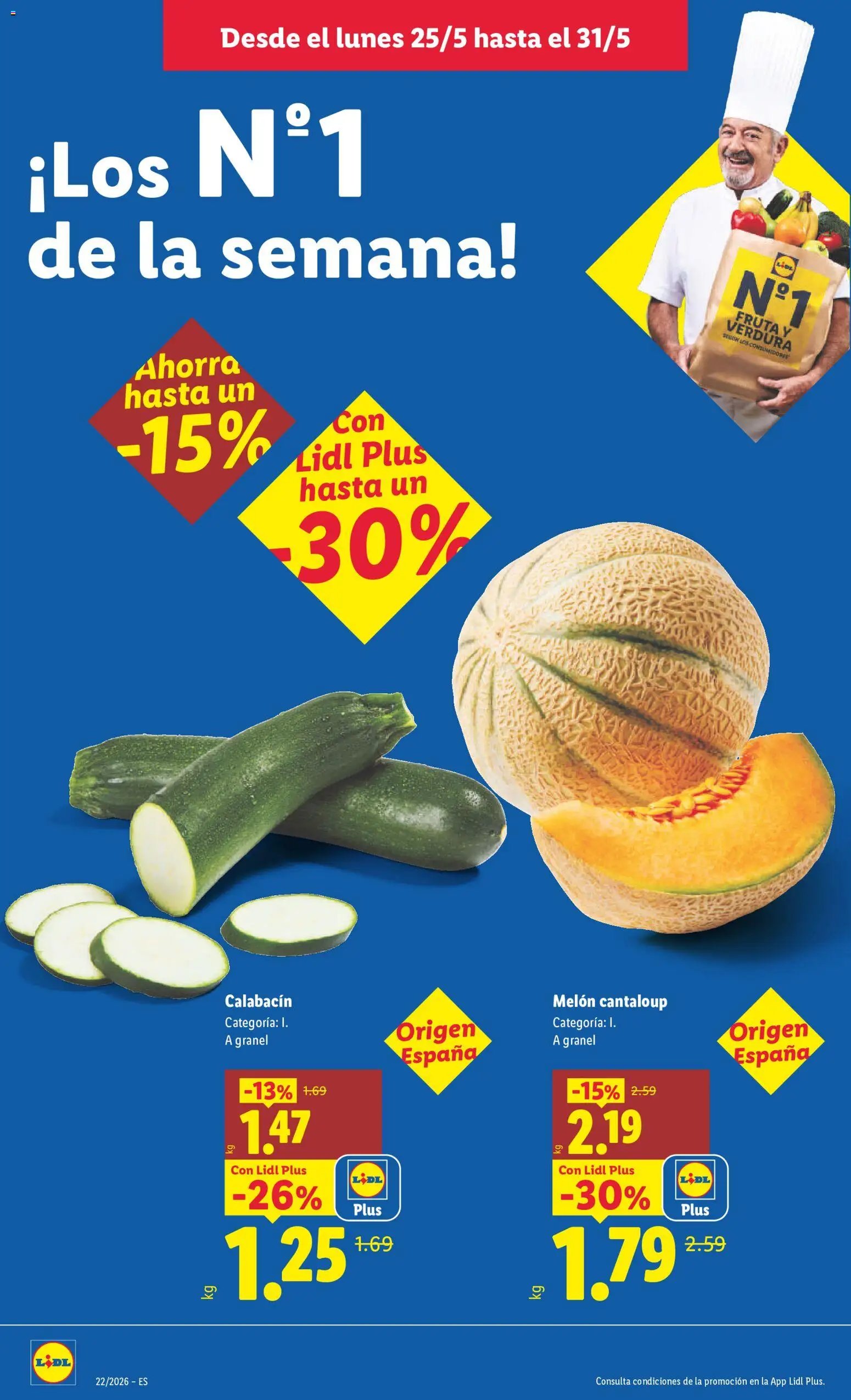 Lidl folleto