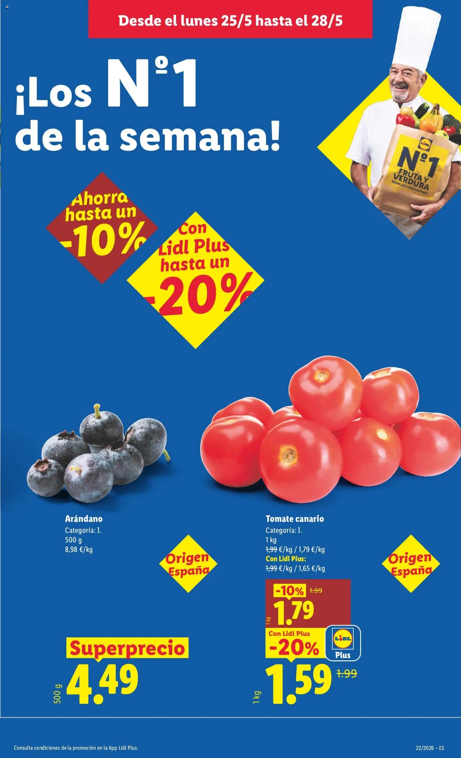 Lidl folleto