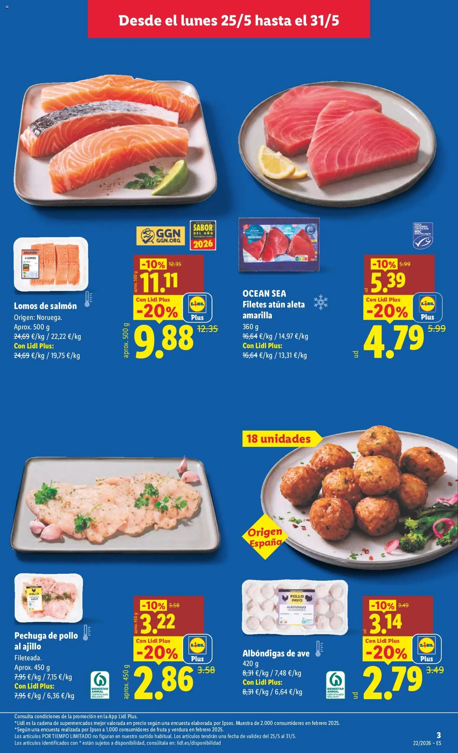 Lidl folleto