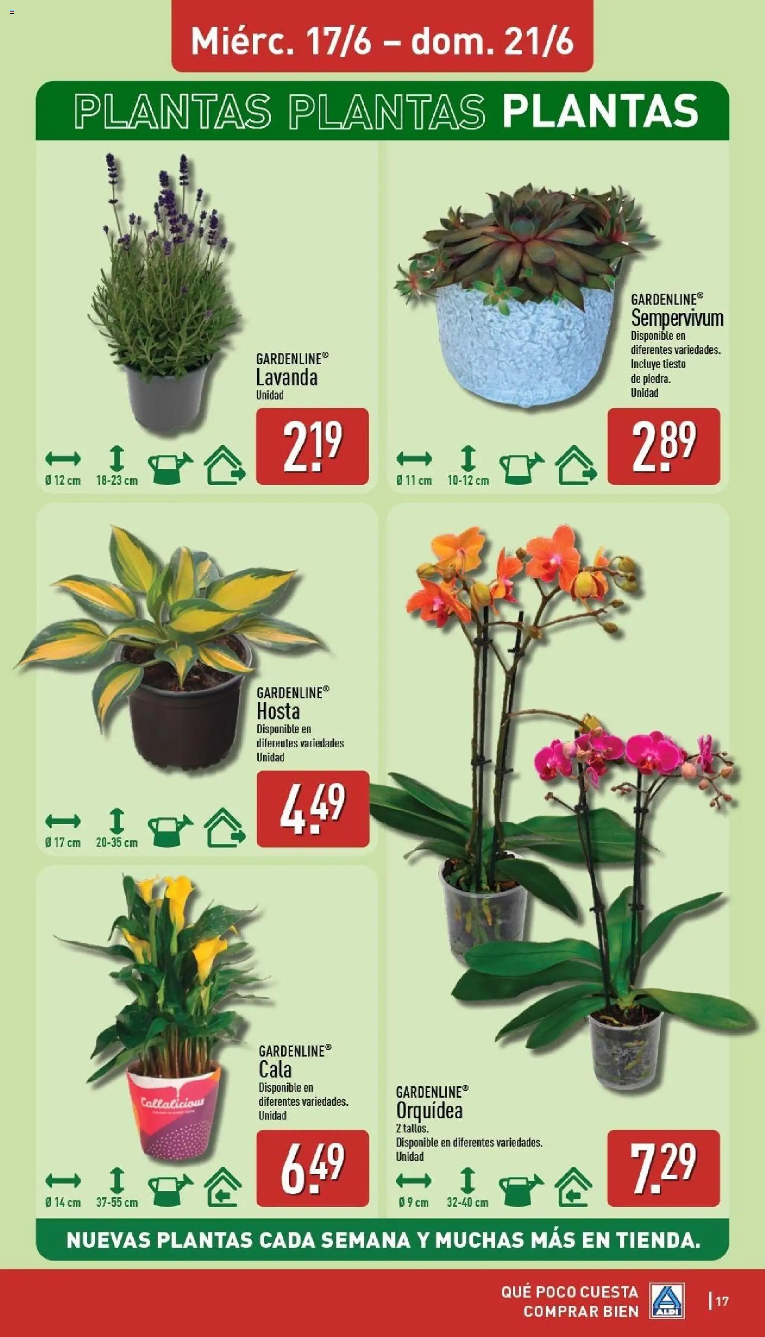 Aldi folleto Baleares