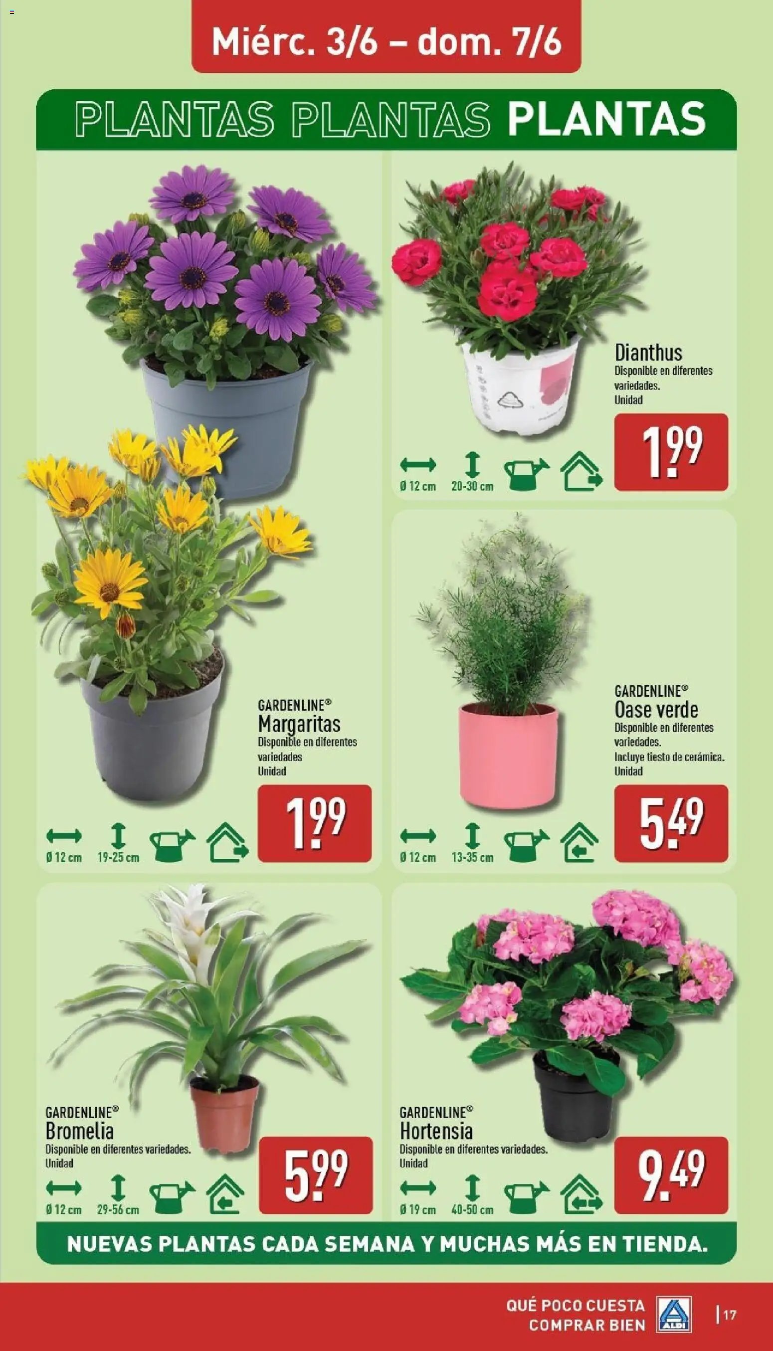 Aldi folleto Península