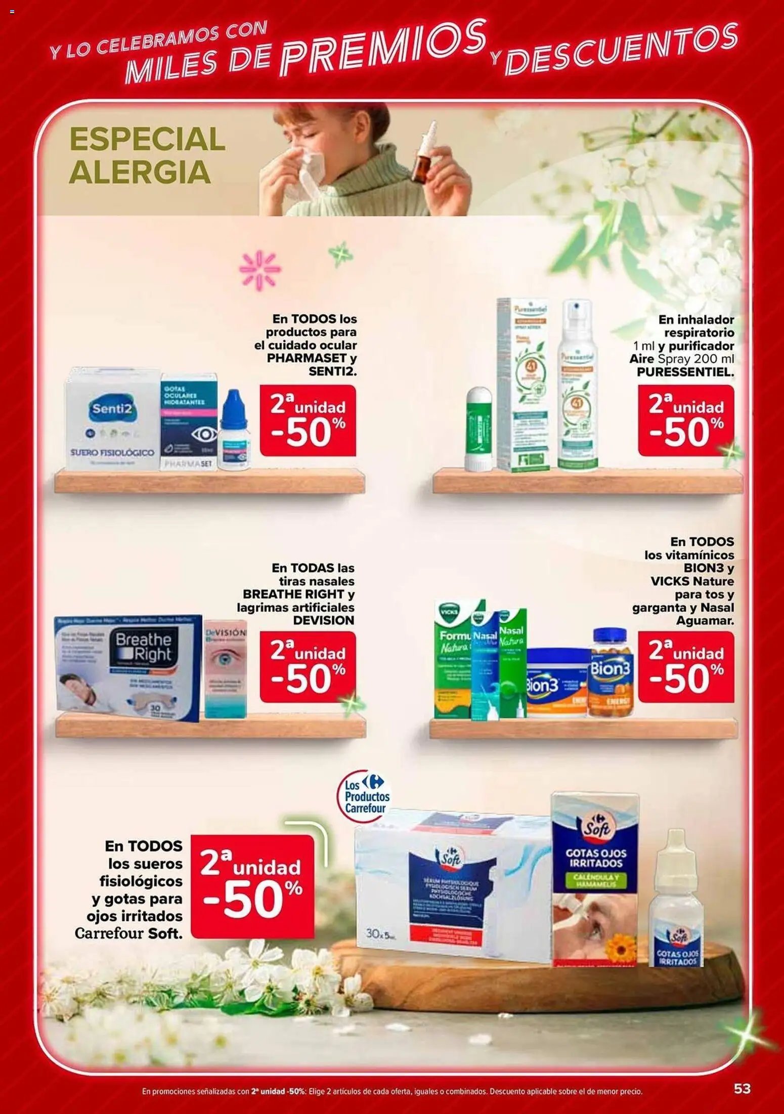 Carrefour folleto