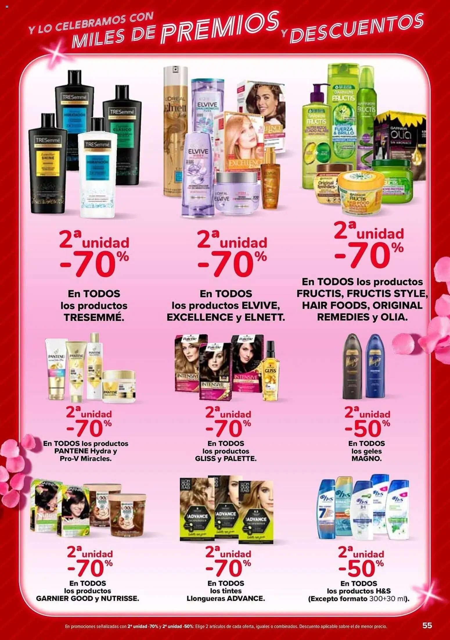 Carrefour folleto
