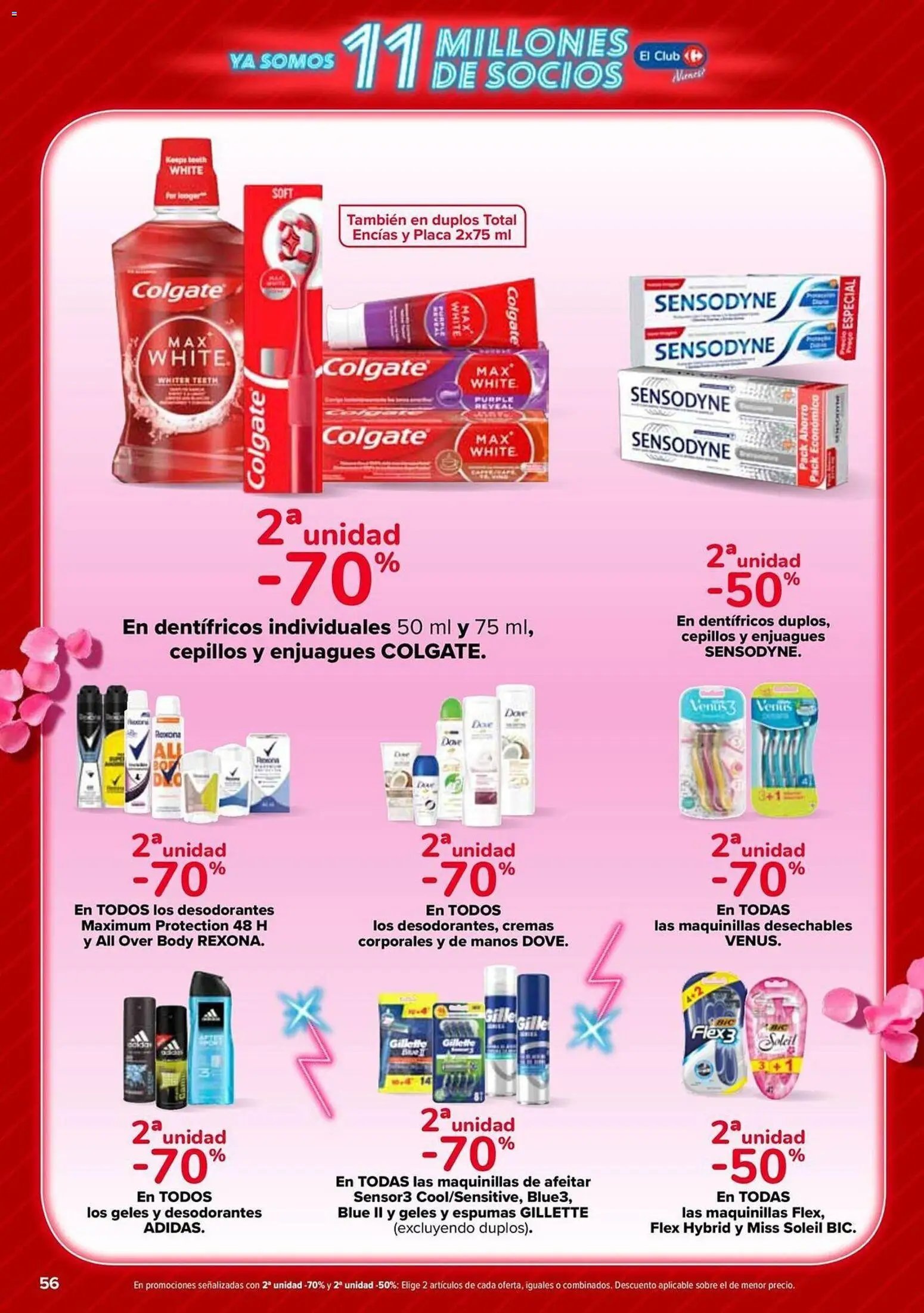 Carrefour folleto