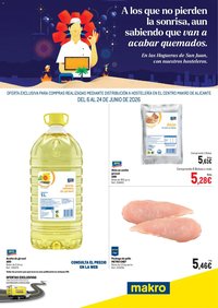 Makro Hogueras de San Juan Alicante
