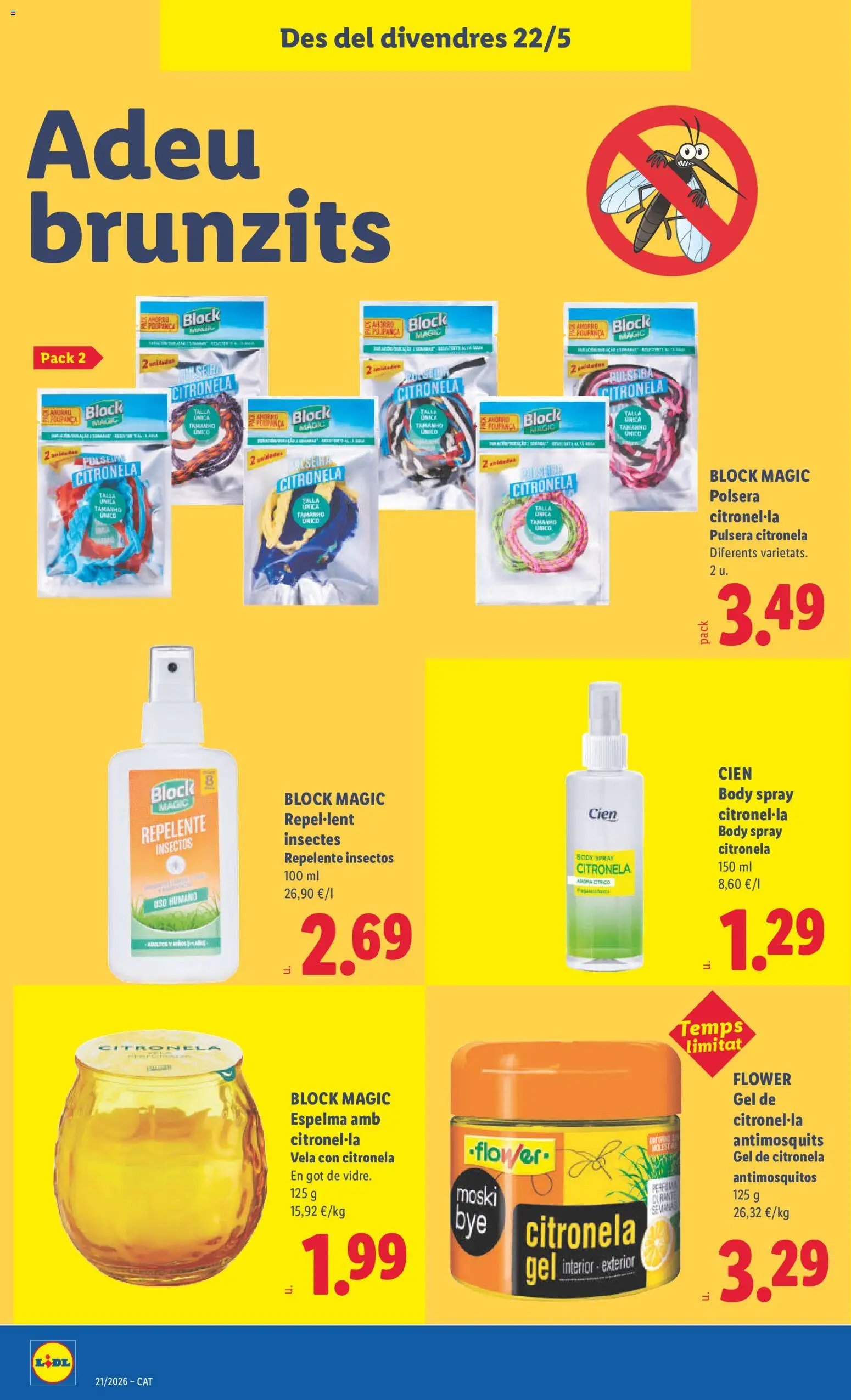 Lidl folleto de bazar