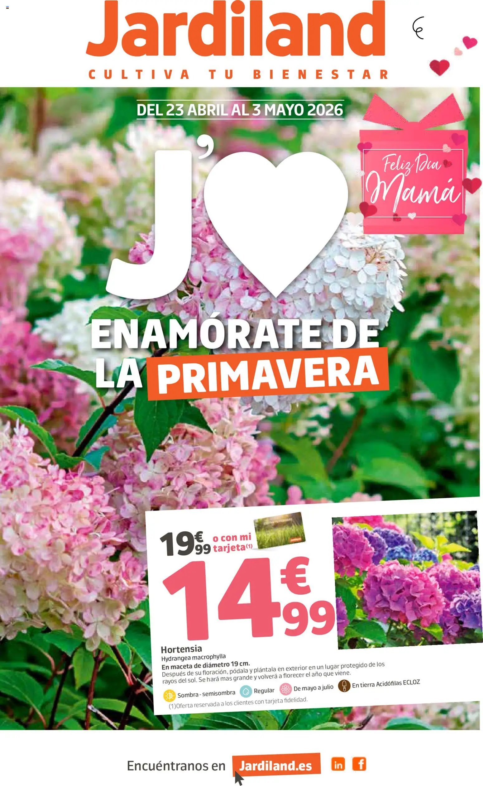 Jardiland folleto