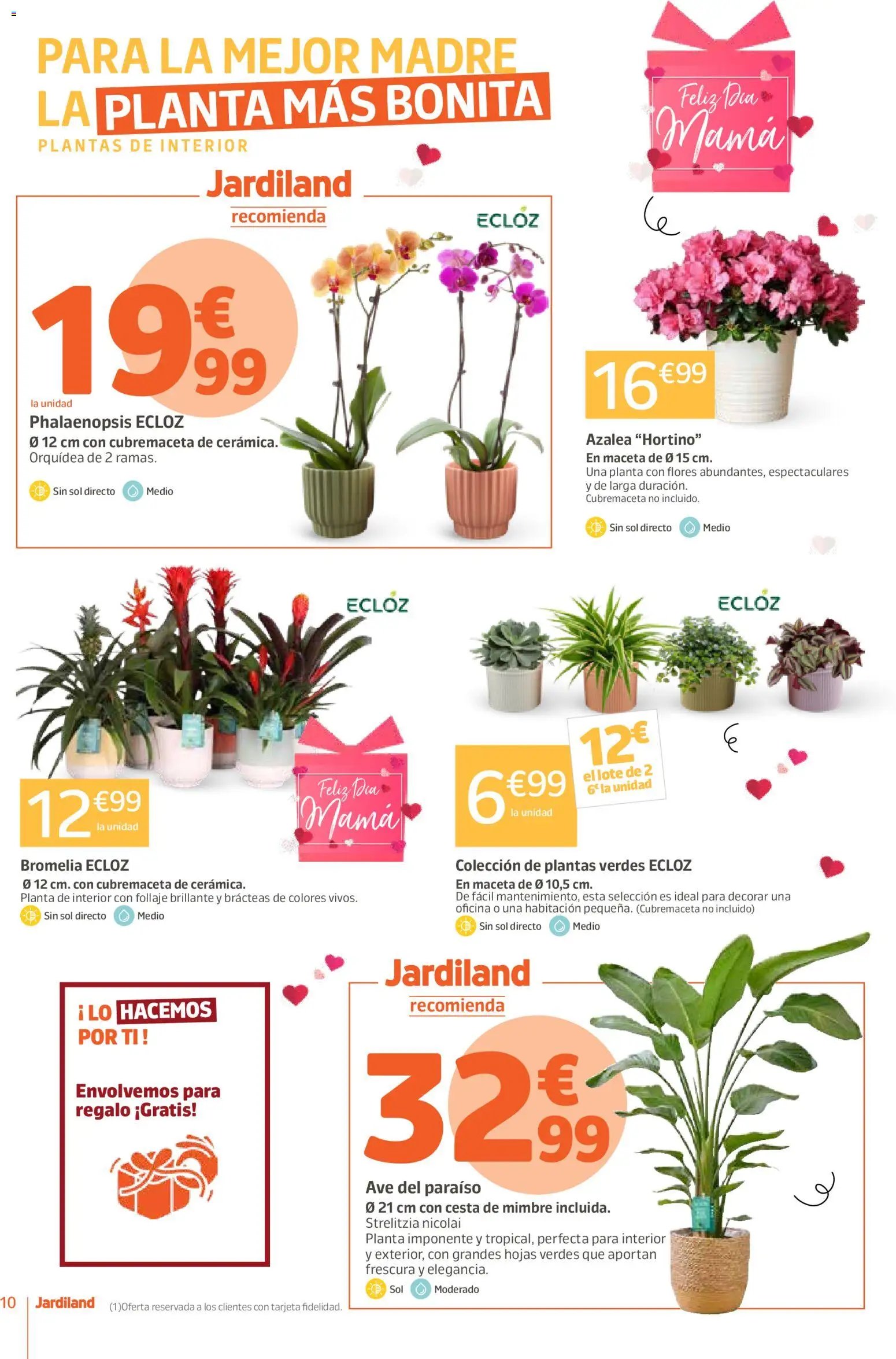 Jardiland folleto