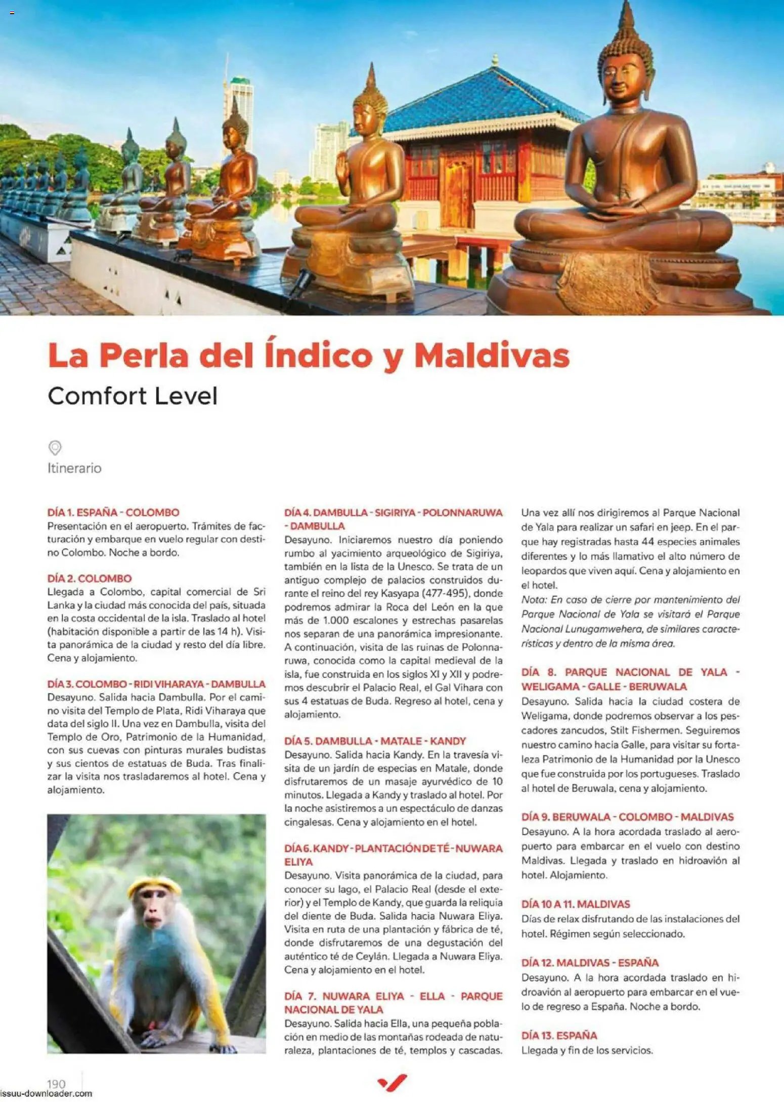Halcón Viajes Comfort level 2026