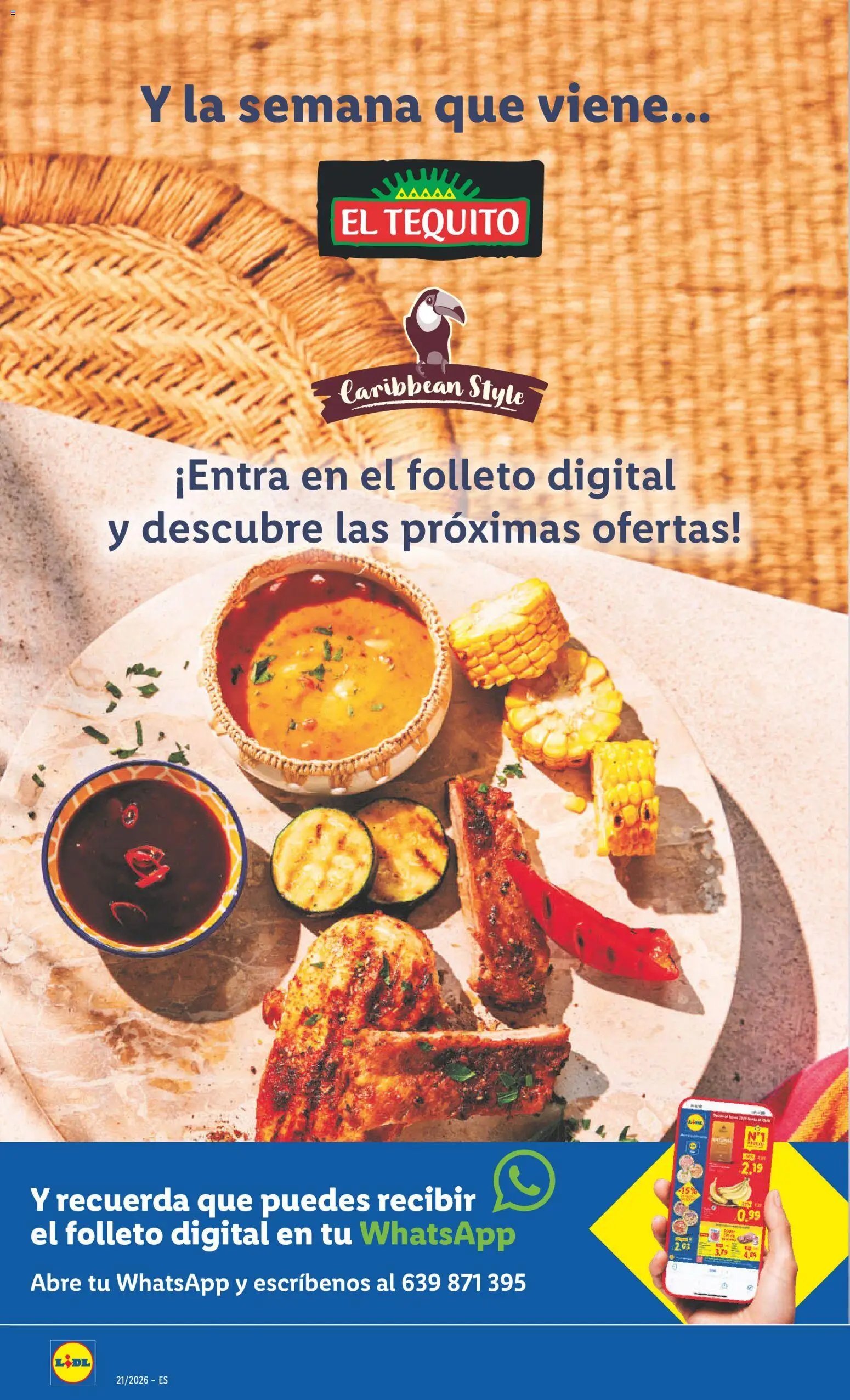 Lidl folleto de bazar