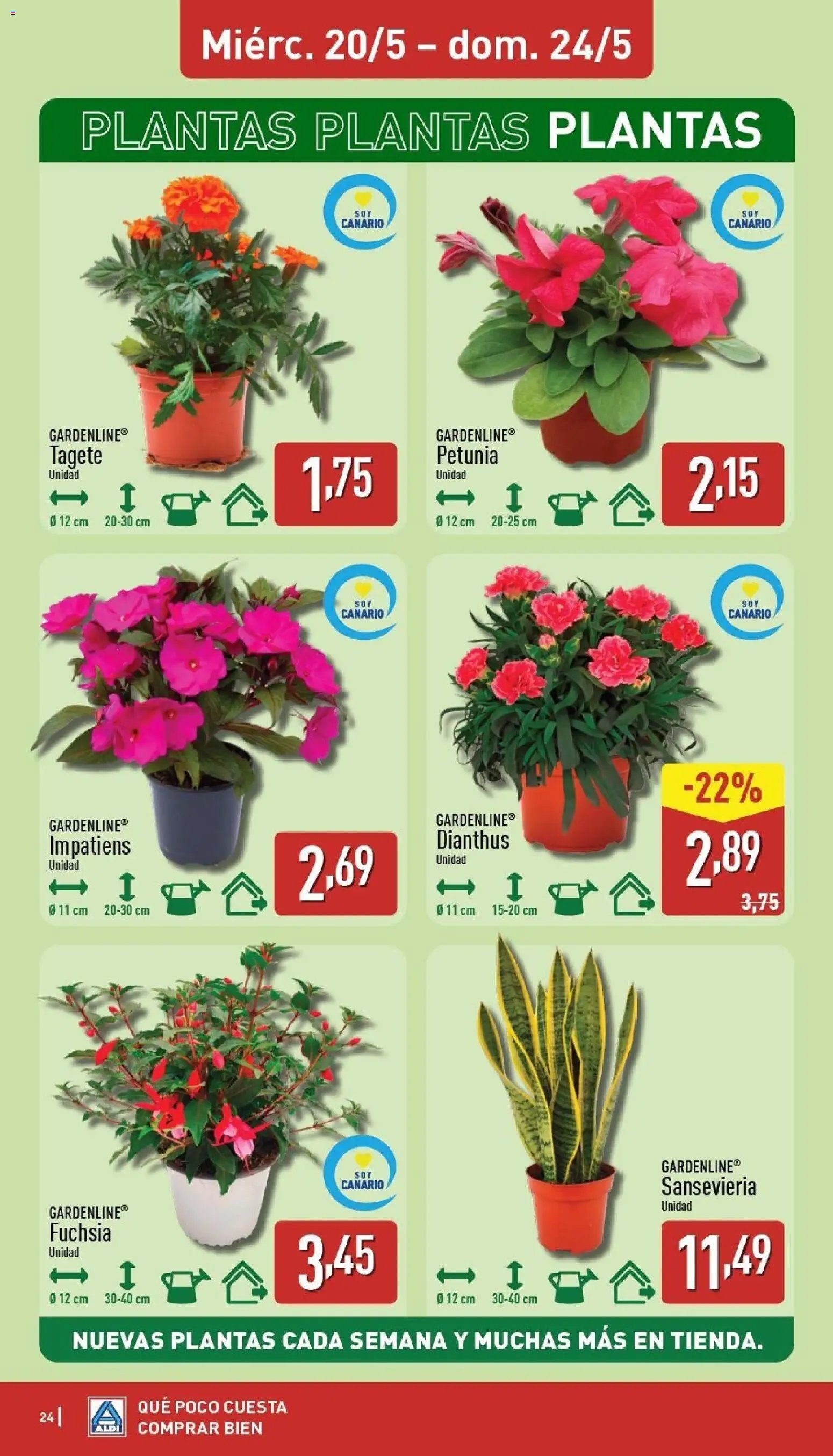 Aldi folleto Canarias