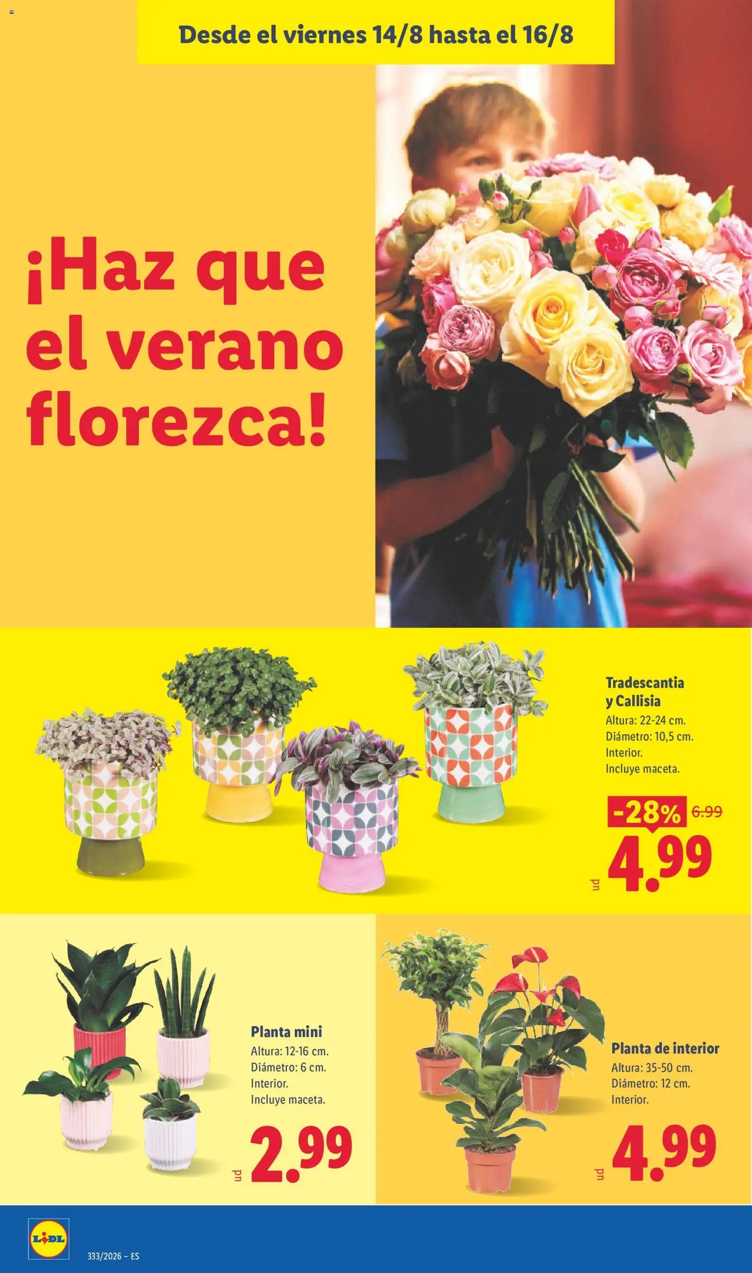 Lidl folleto