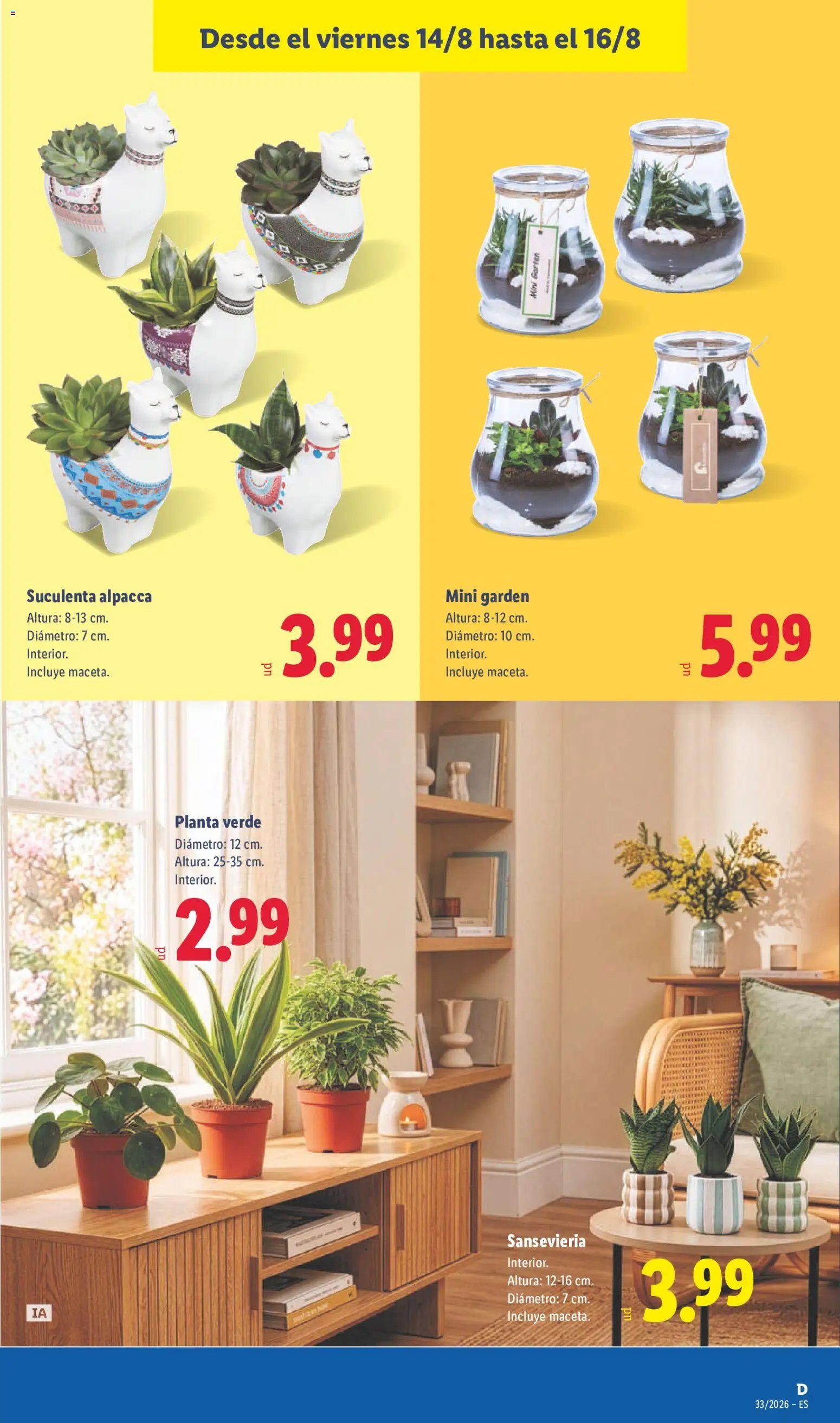 Lidl folleto