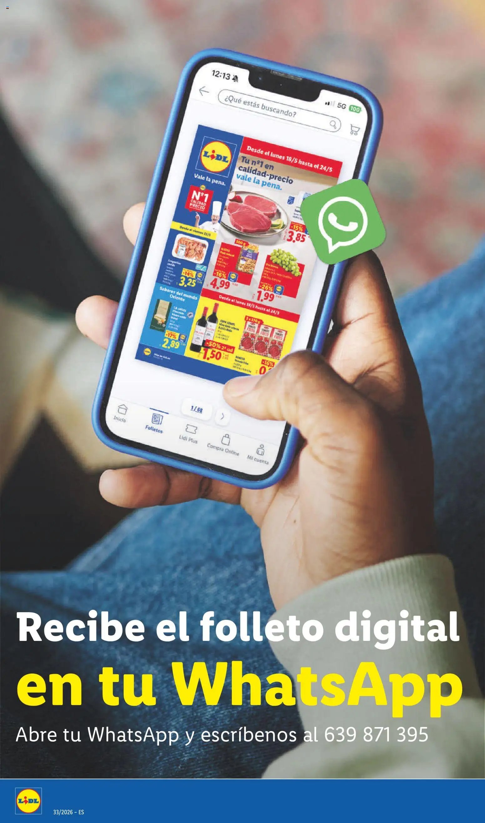 Lidl folleto