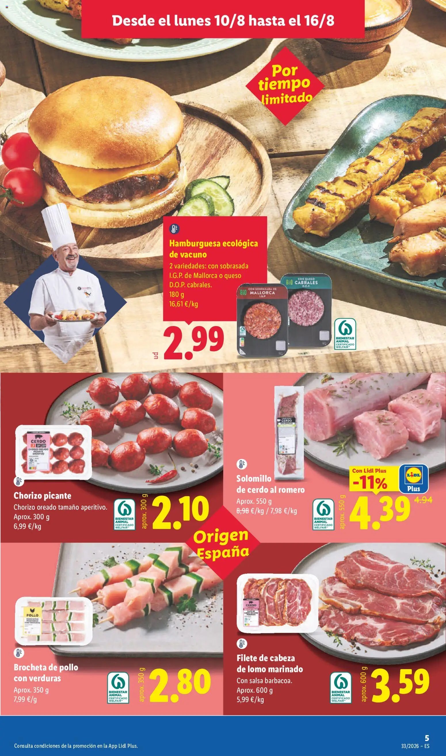 Lidl folleto