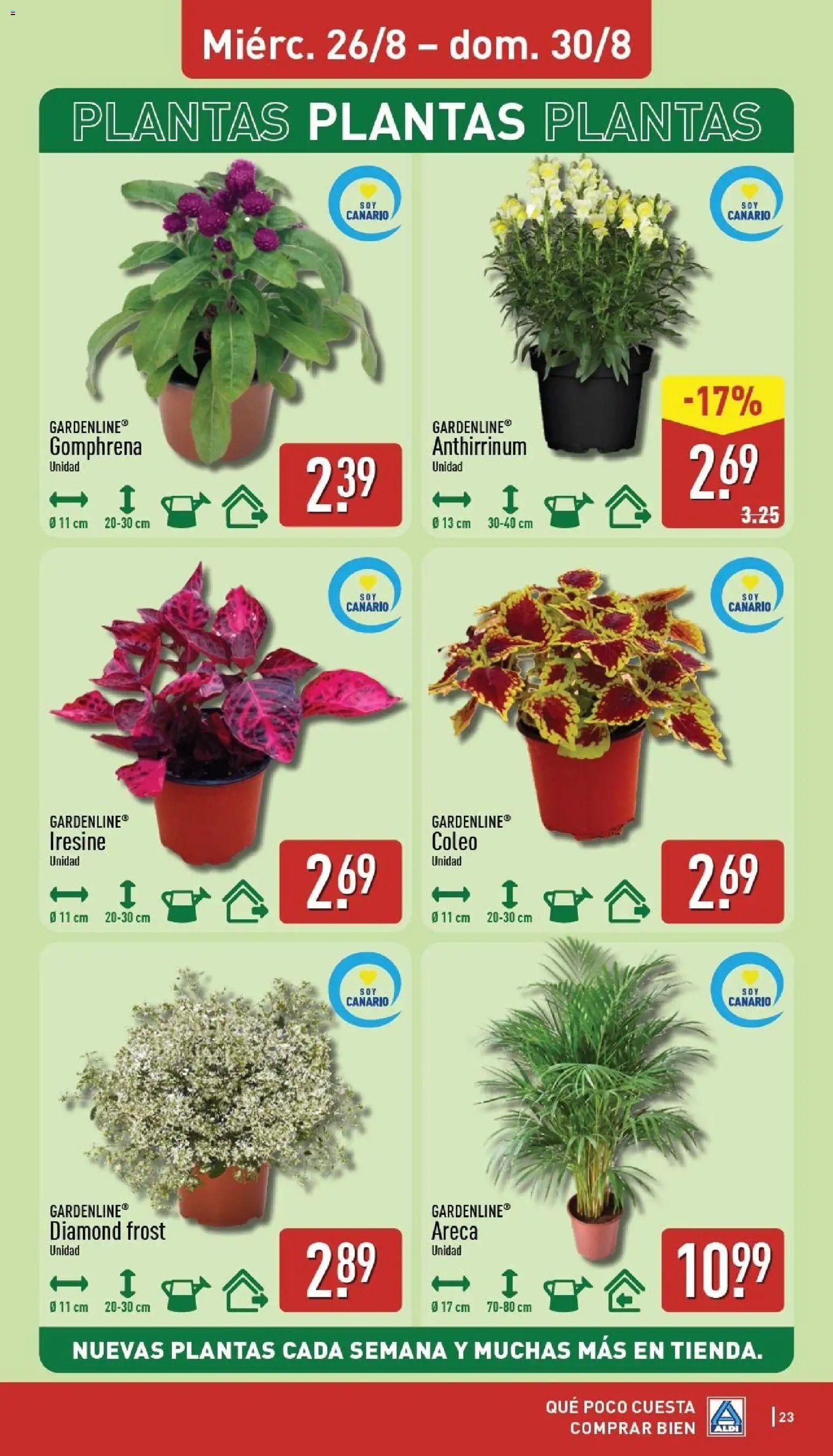 Aldi folleto Canarias