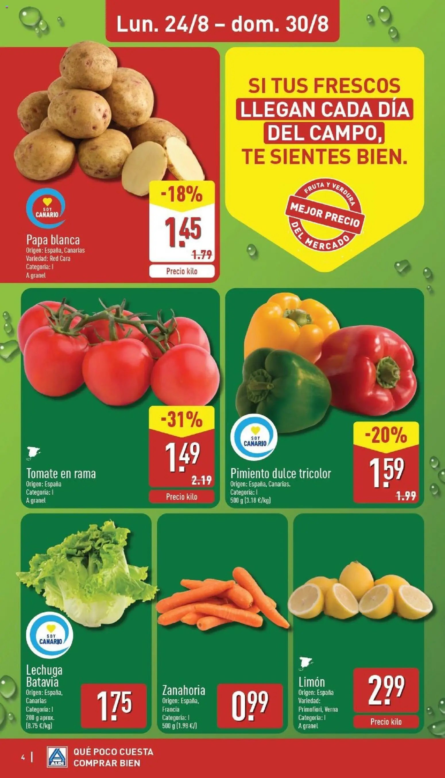 Aldi folleto Canarias