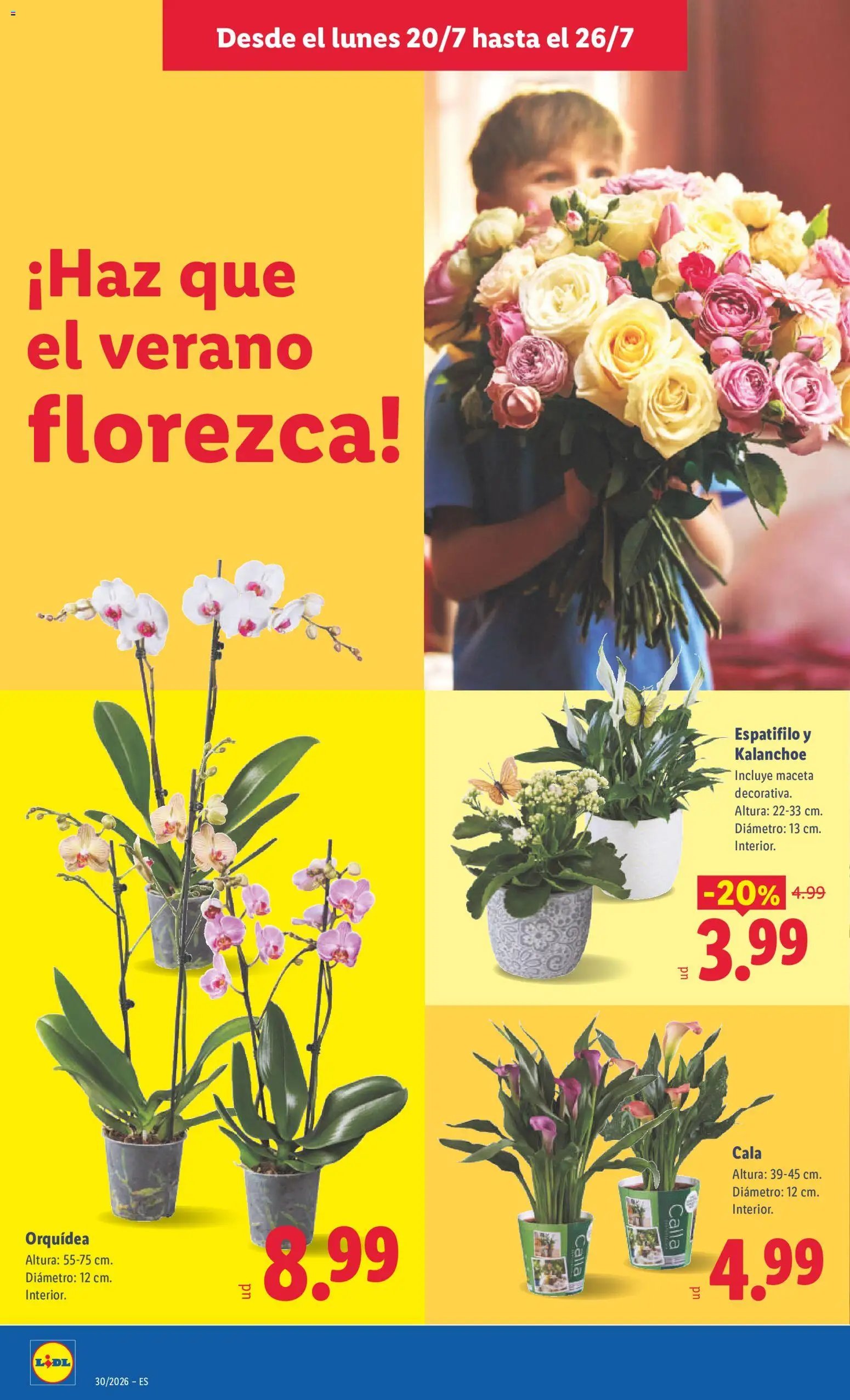 Lidl folleto