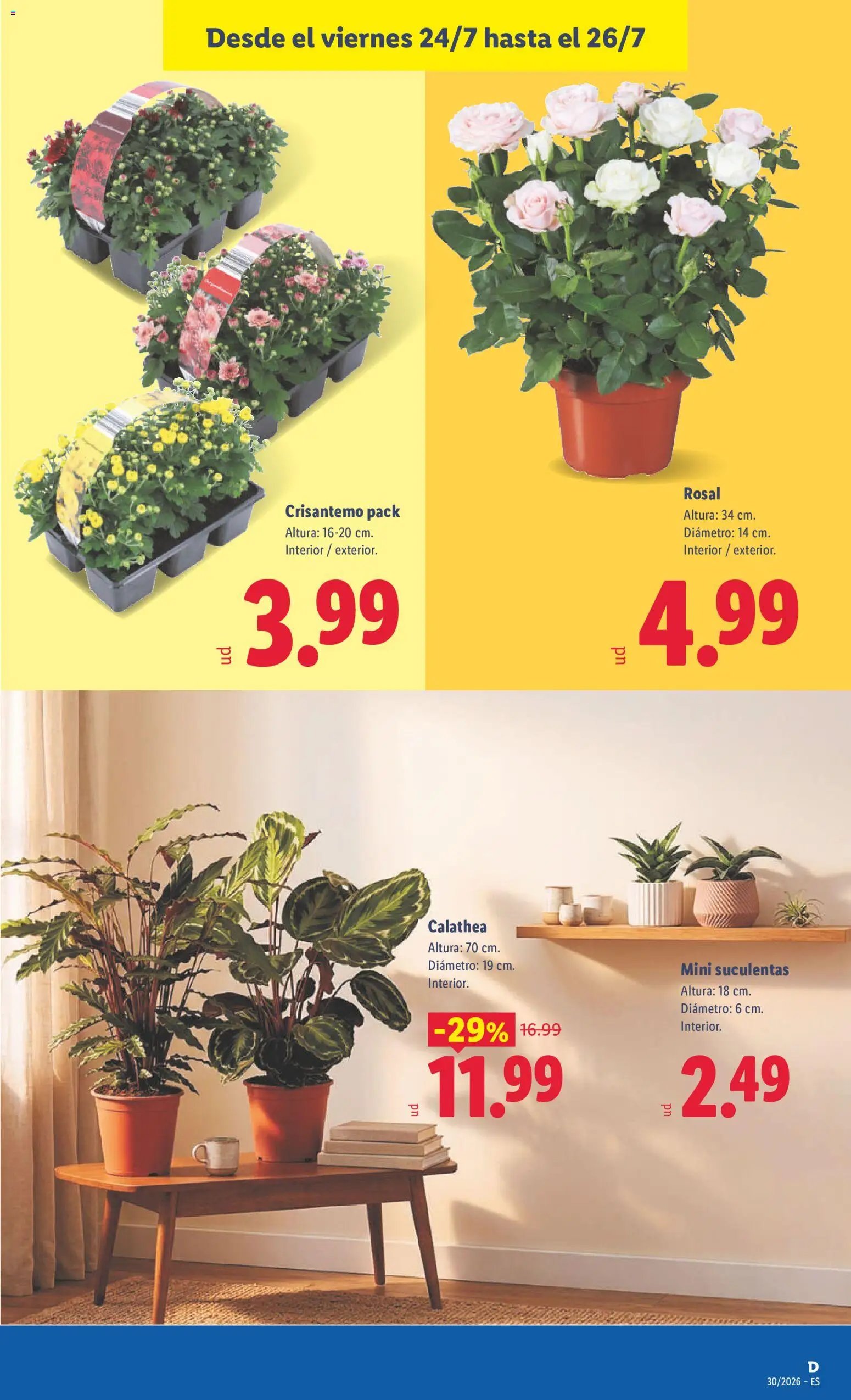 Lidl folleto