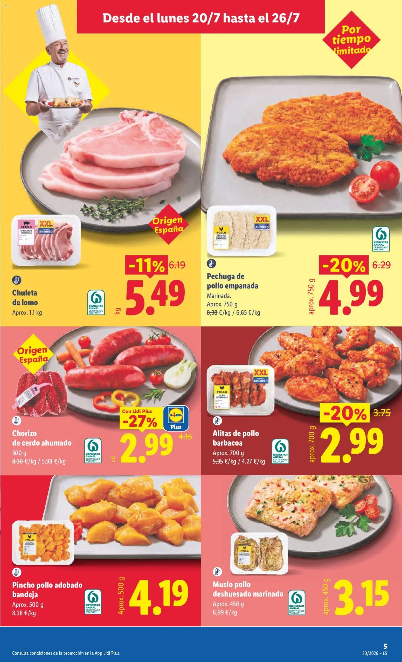 Lidl folleto