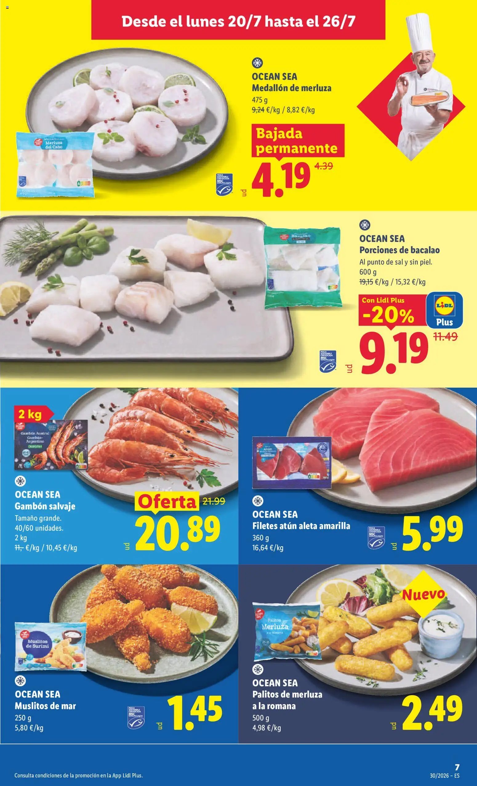 Lidl folleto