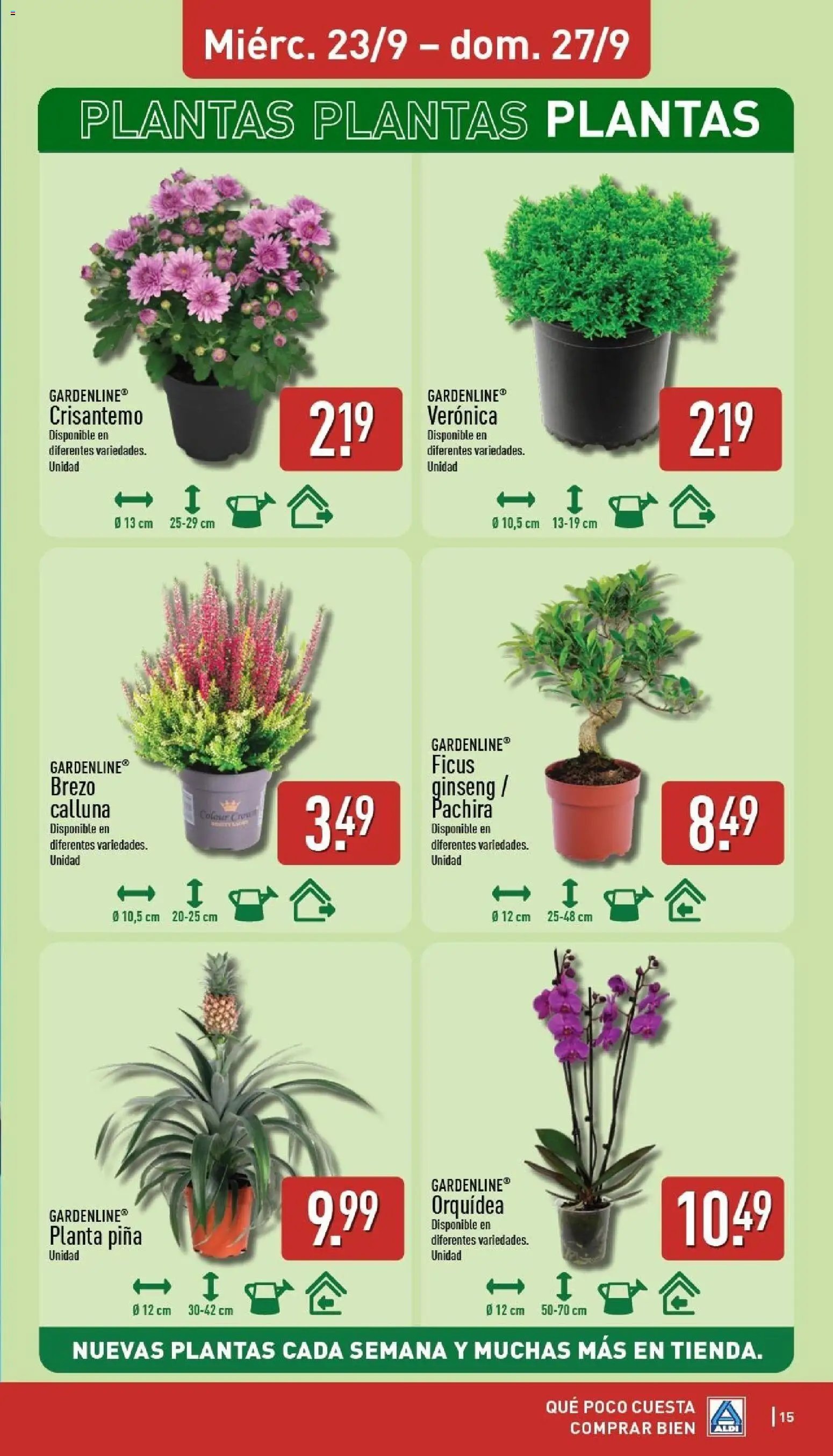 Aldi folleto Baleares