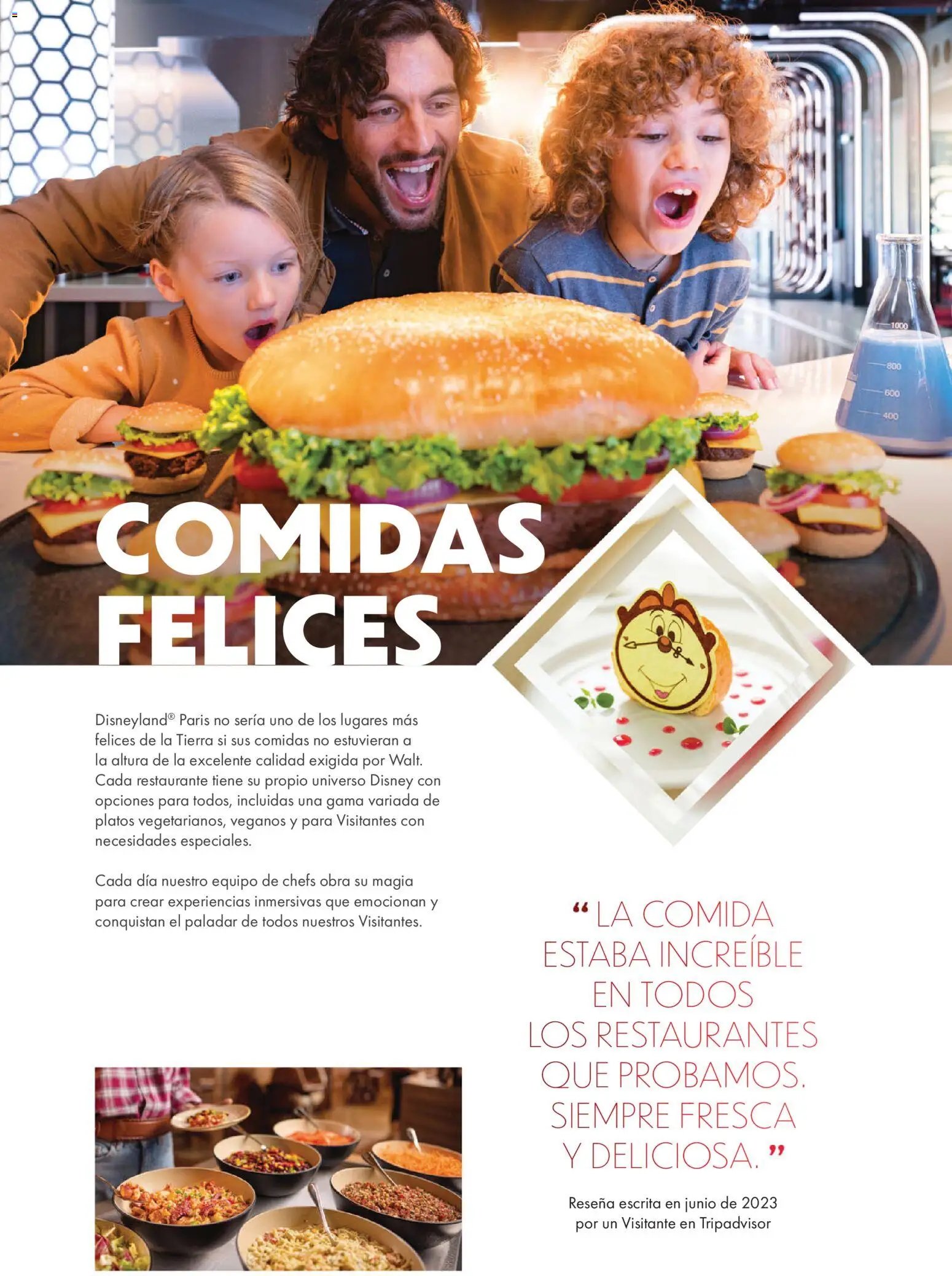 Viajes El Corte Inglés Folleto Disneyland Paris