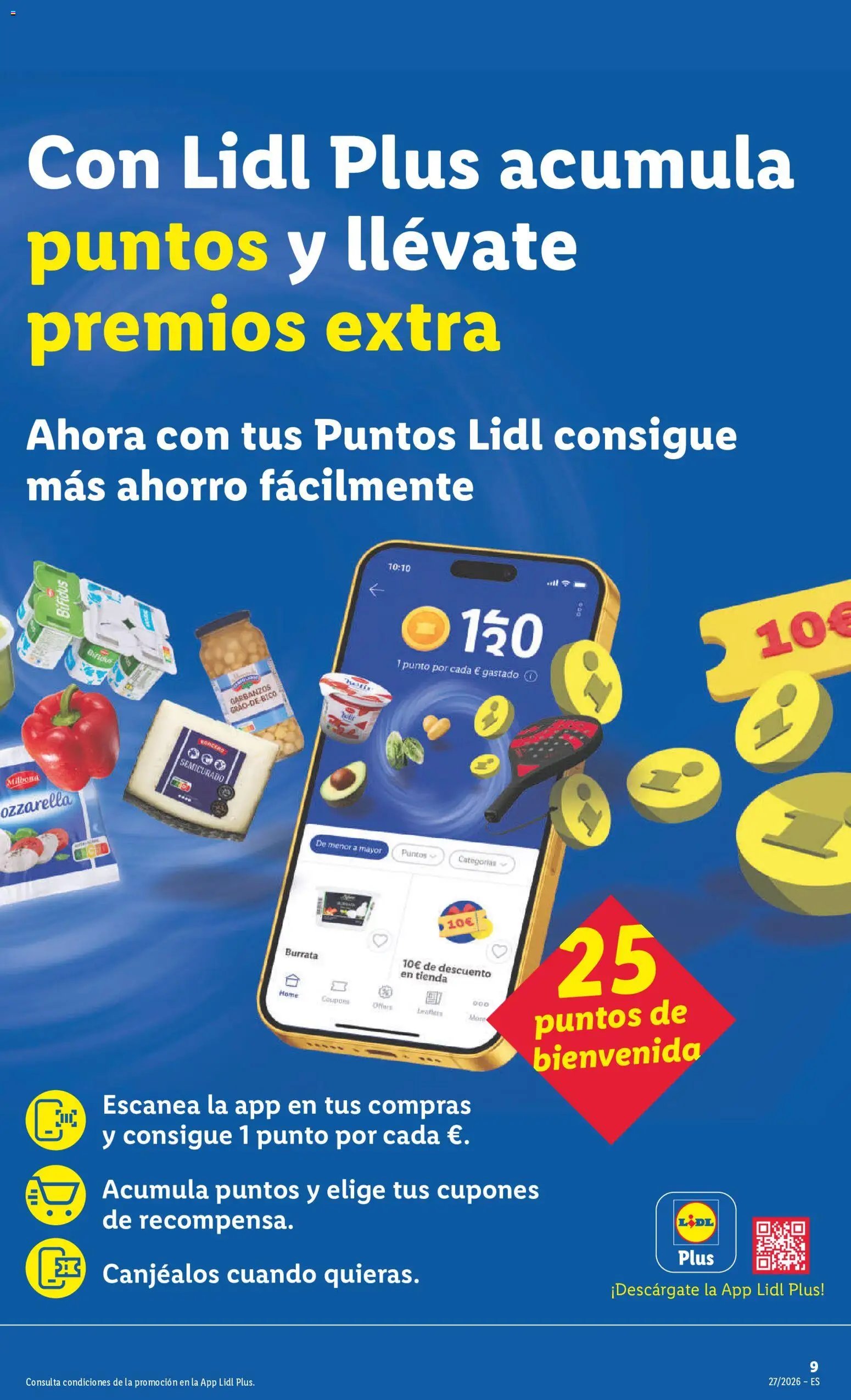 Lidl folleto