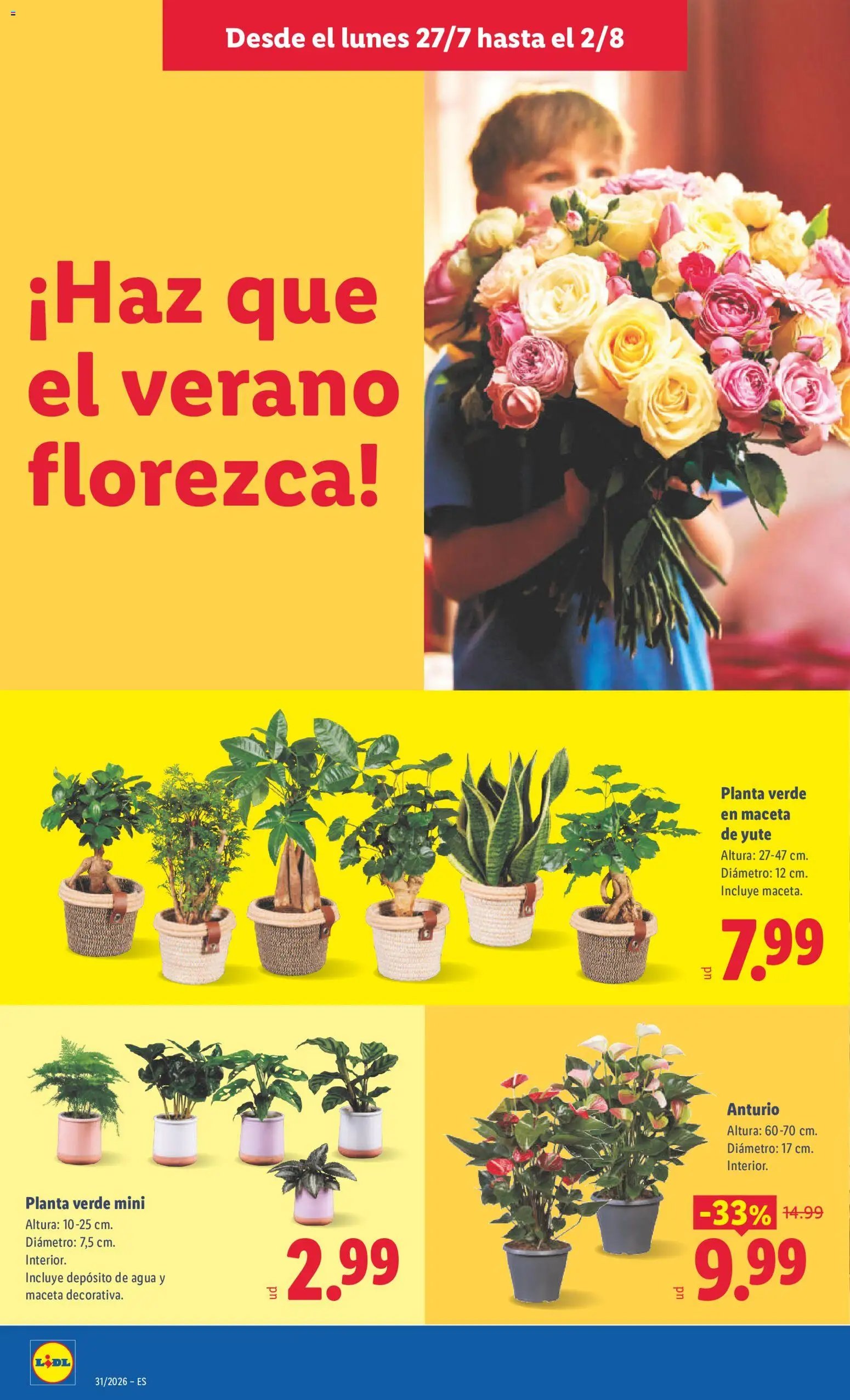 Lidl folleto