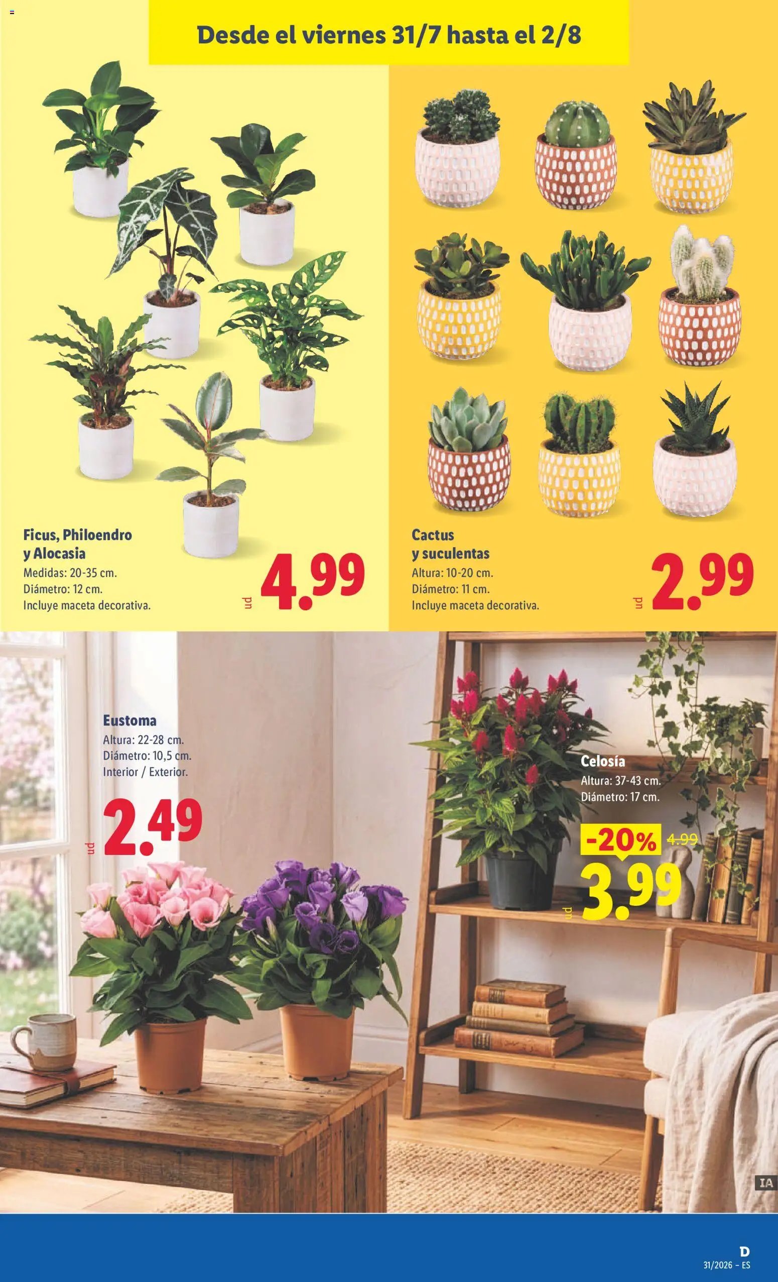 Lidl folleto