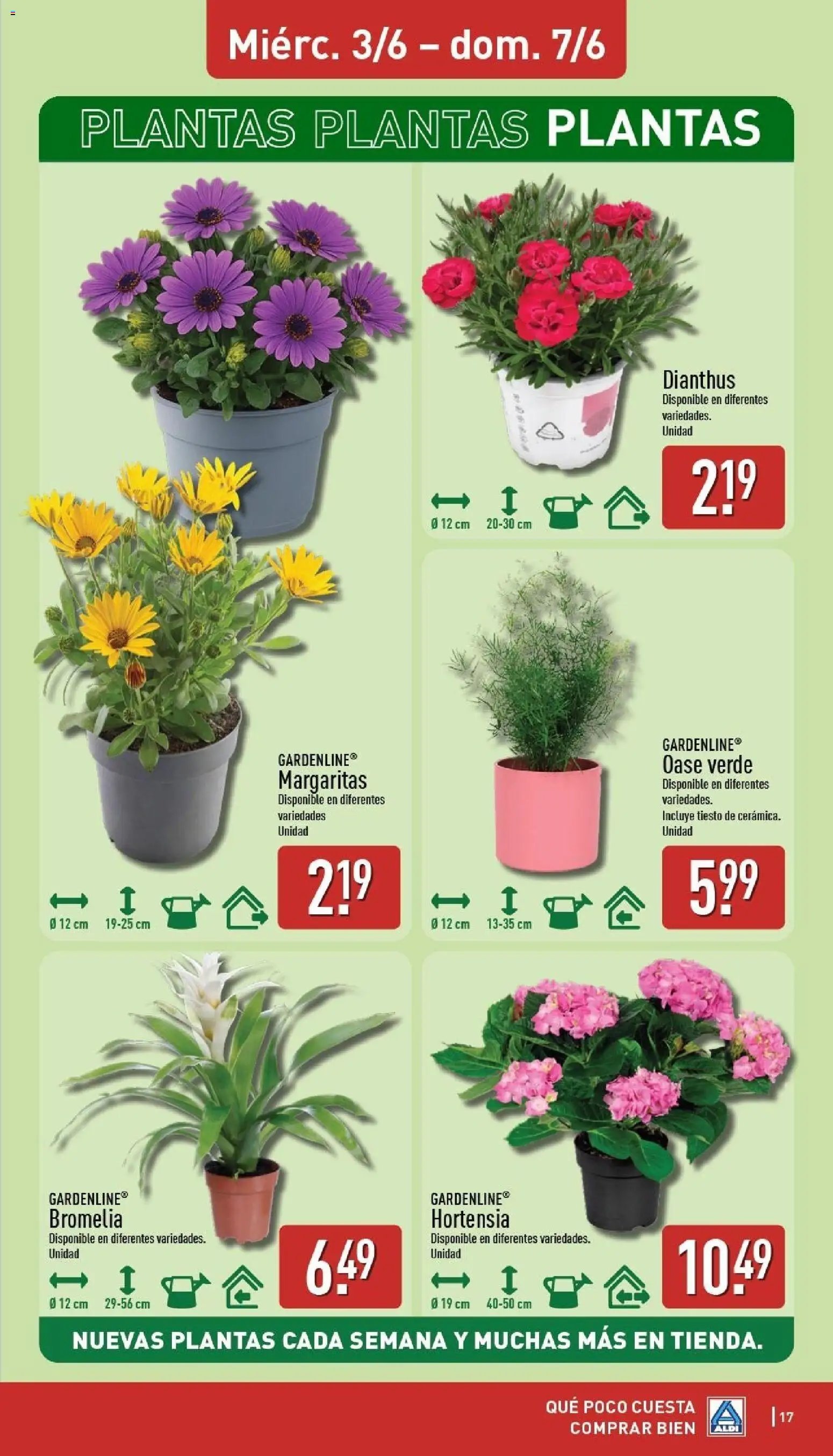 Aldi folleto Baleares